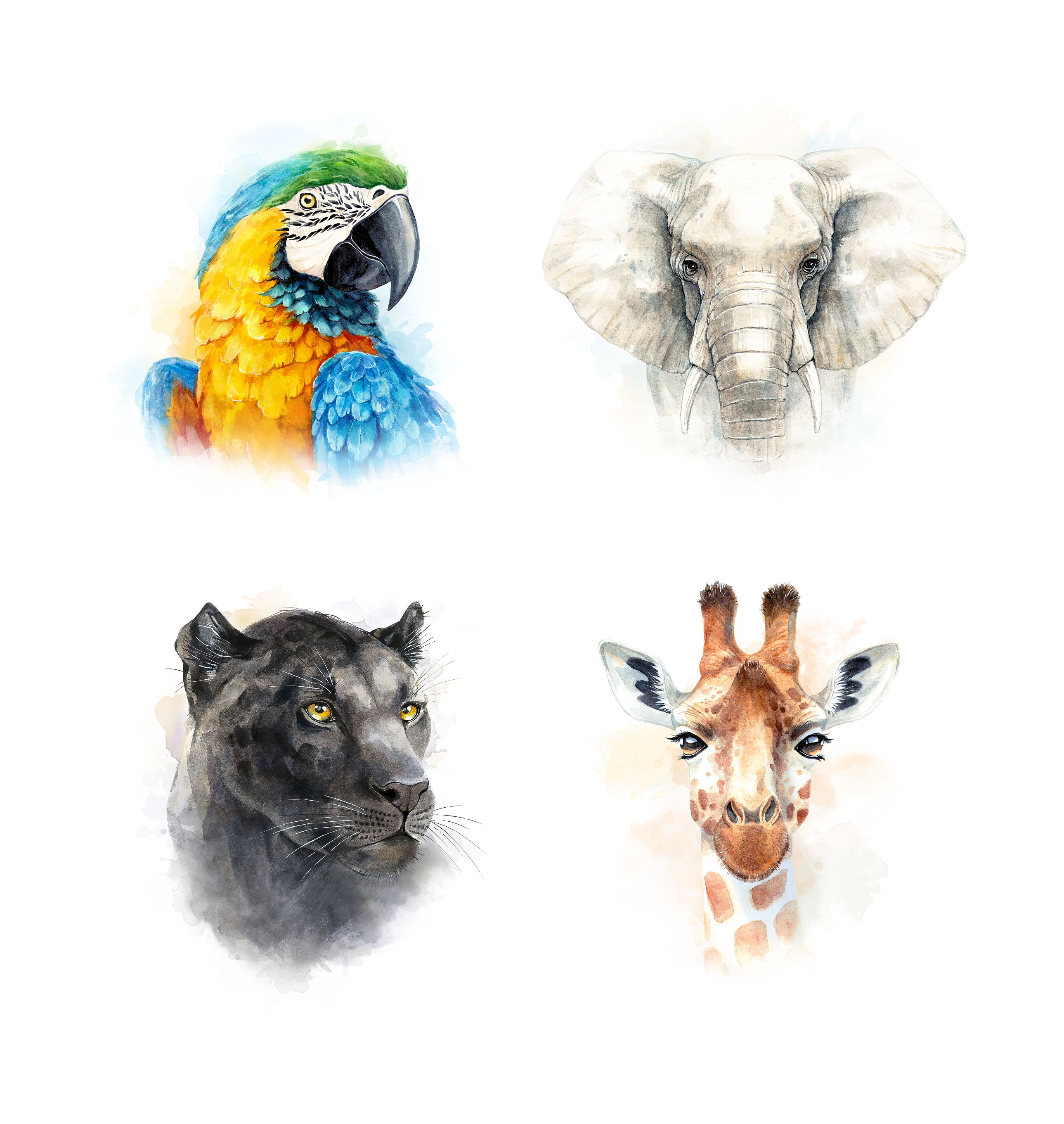 Доктор Ковалев и коллеги, отделение детской стоматологии — Изображение №7 — Брендинг, Иллюстрация на Dprofile