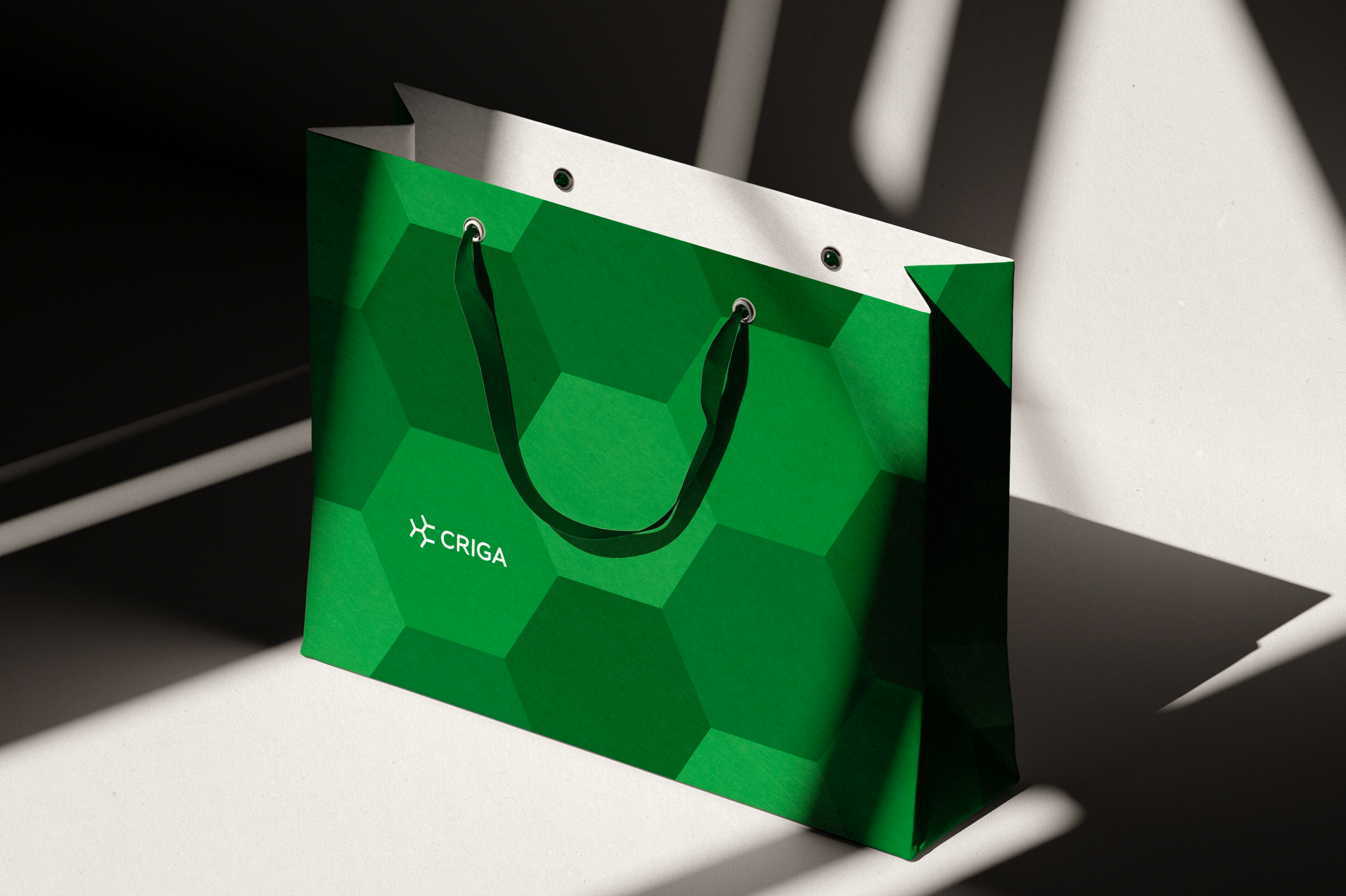 Criga — Изображение №10 — Брендинг на Dprofile