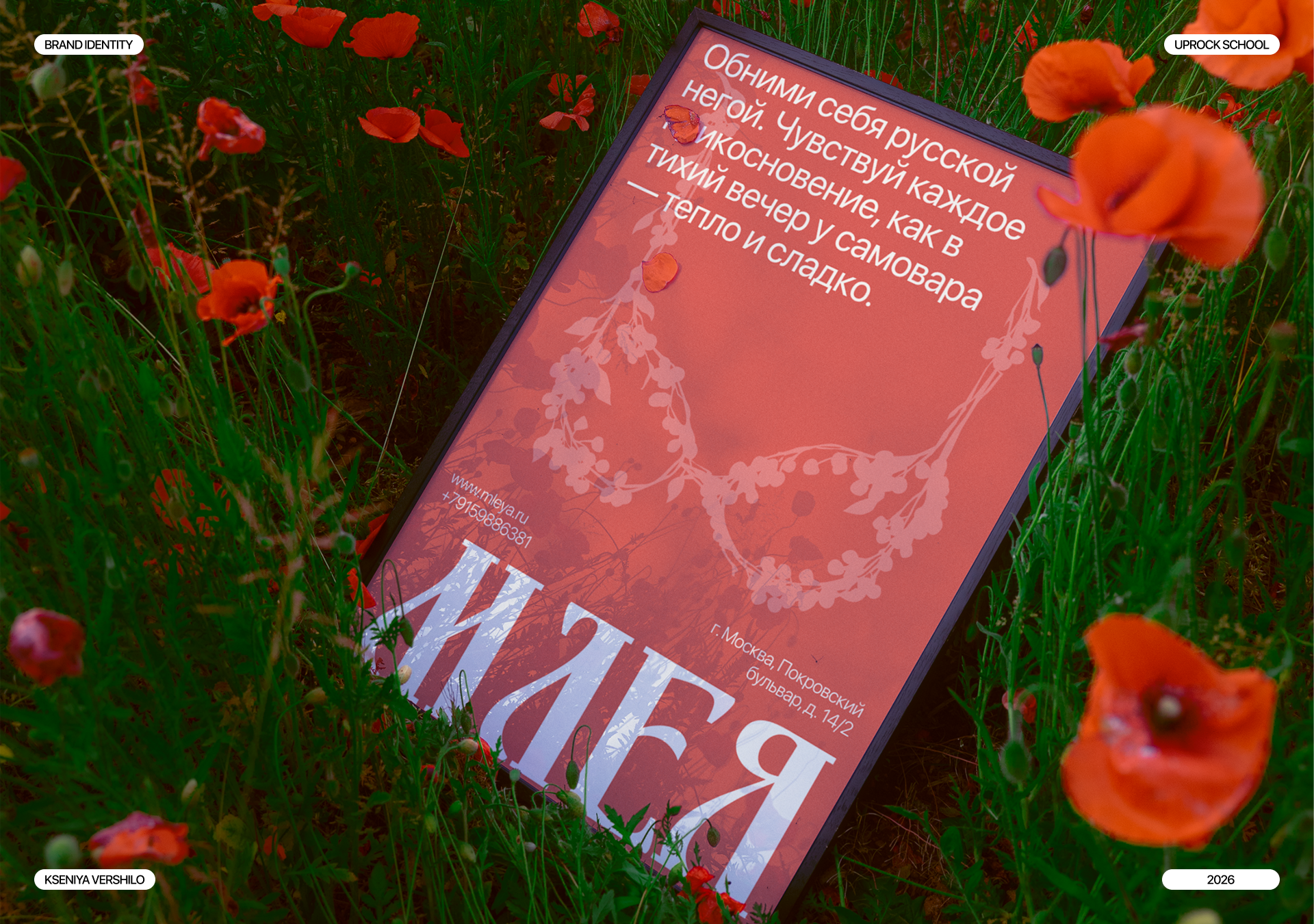 Айдентика для бренда нижнего белья "Млея" — Изображение №1 — Брендинг на Dprofile