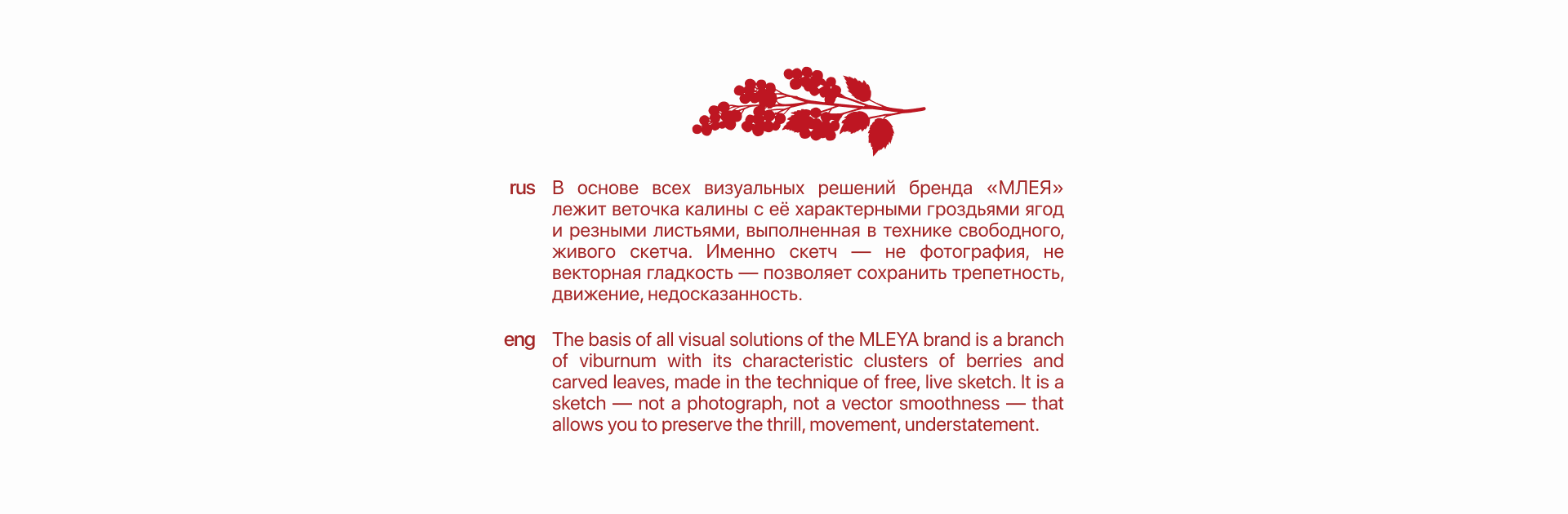 Айдентика для бренда нижнего белья "Млея" — Изображение №7 — Брендинг на Dprofile