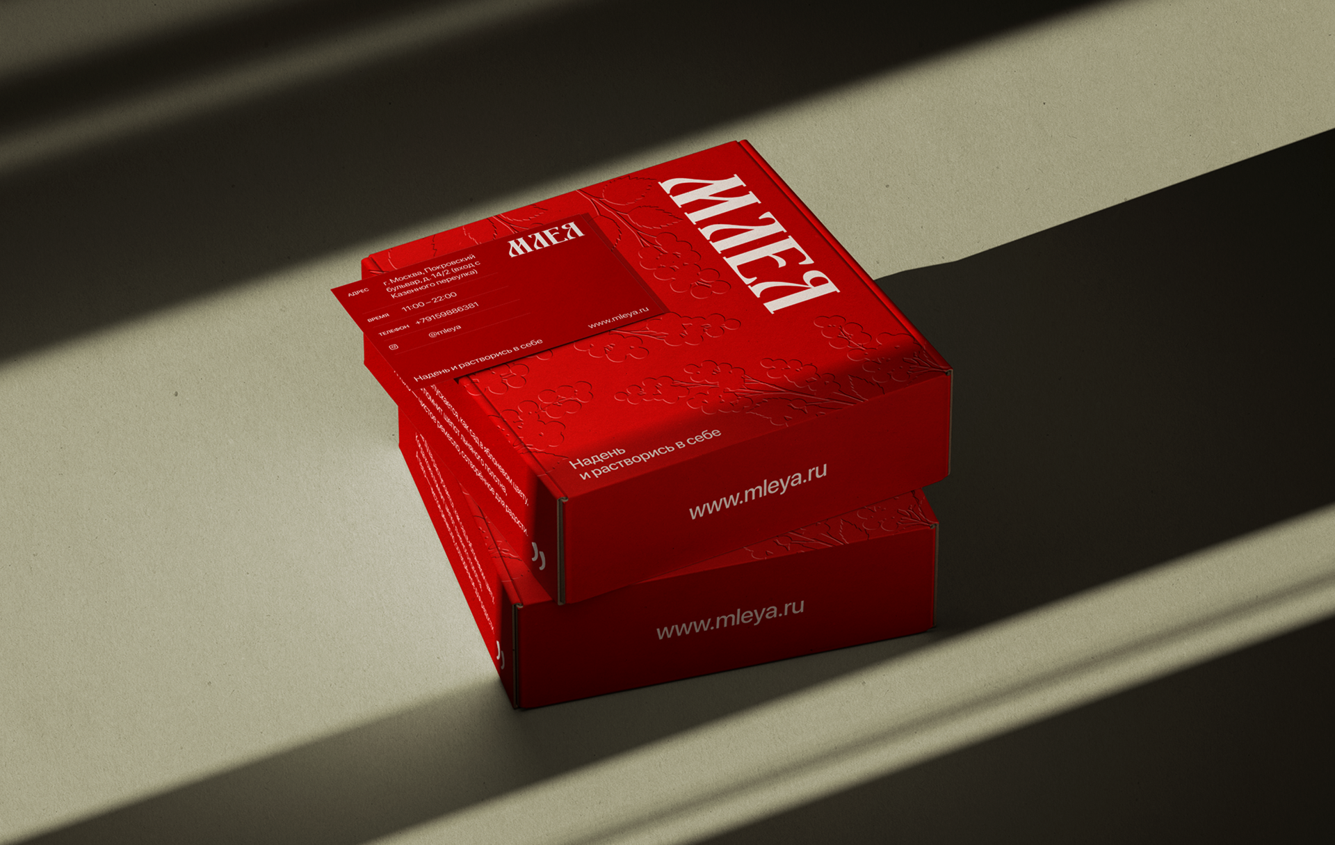 Айдентика для бренда нижнего белья "Млея" — Изображение №24 — Брендинг на Dprofile