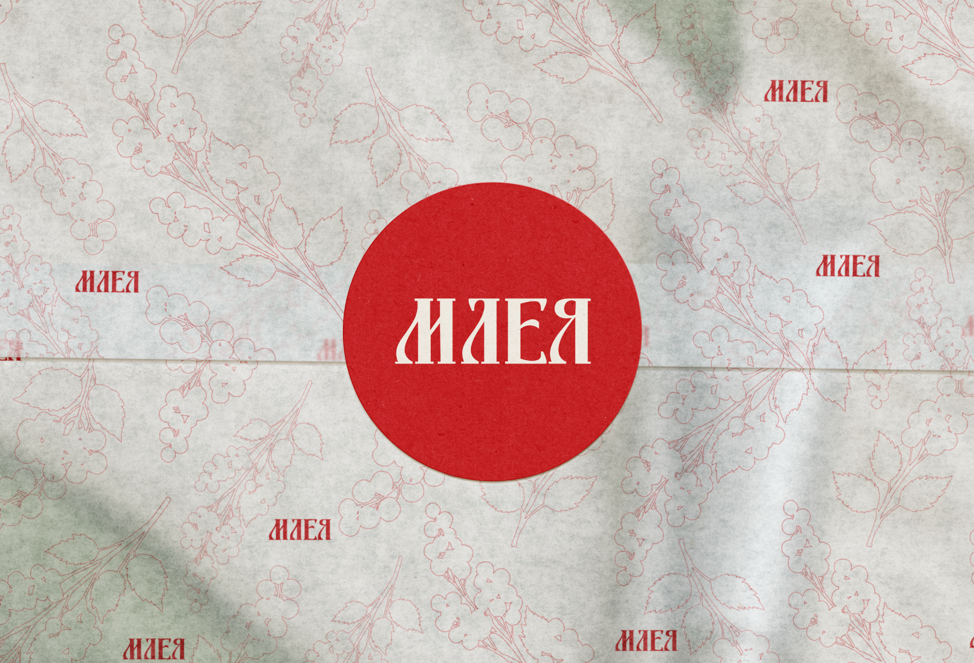Айдентика для бренда нижнего белья "Млея" — Изображение №11 — Брендинг на Dprofile