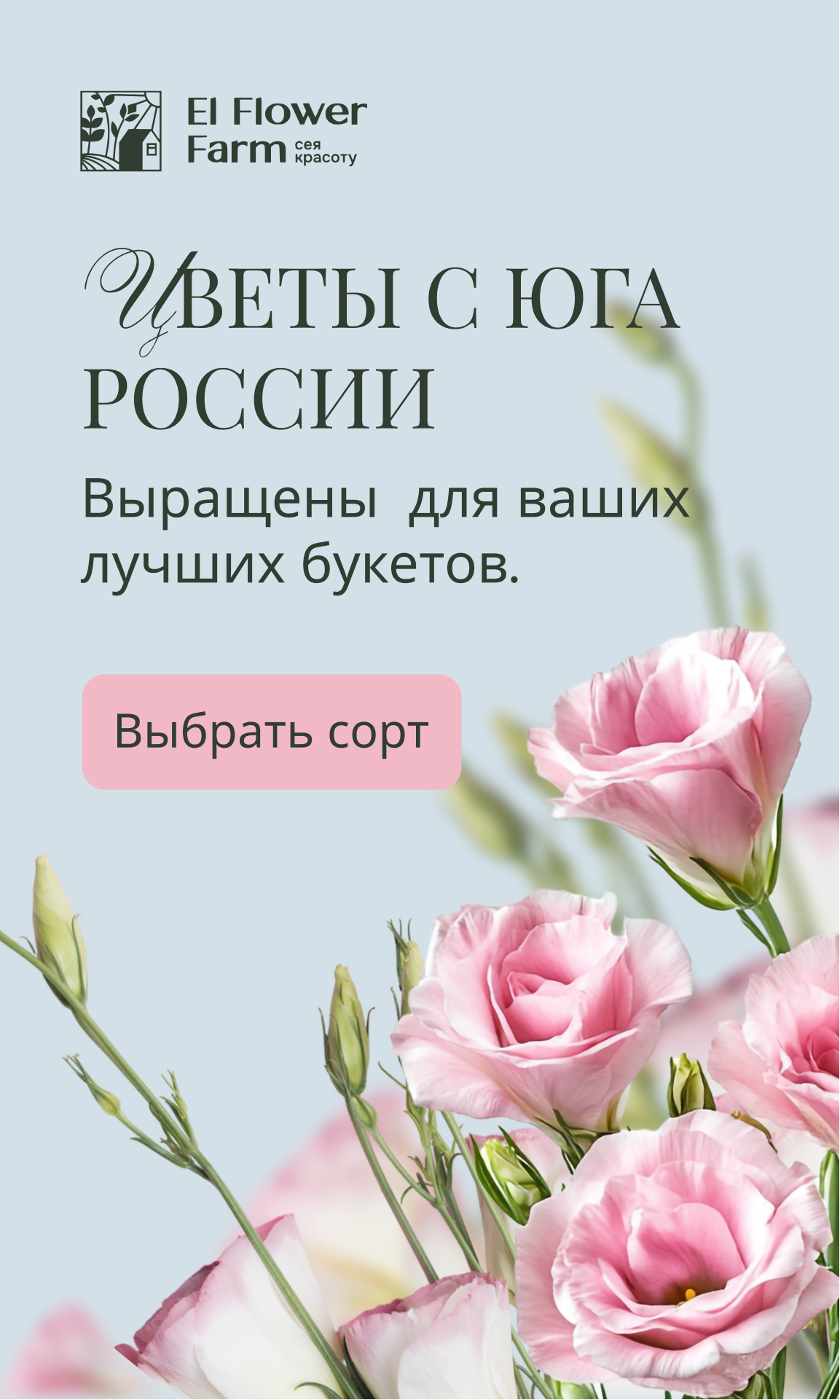 Рекламные материалы для El Flower Farm — Изображение №6 — Маркетинг на Dprofile