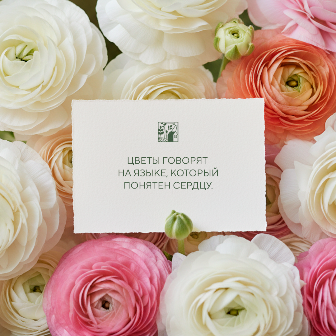 Рекламные материалы для El Flower Farm — Изображение №5 — Маркетинг на Dprofile