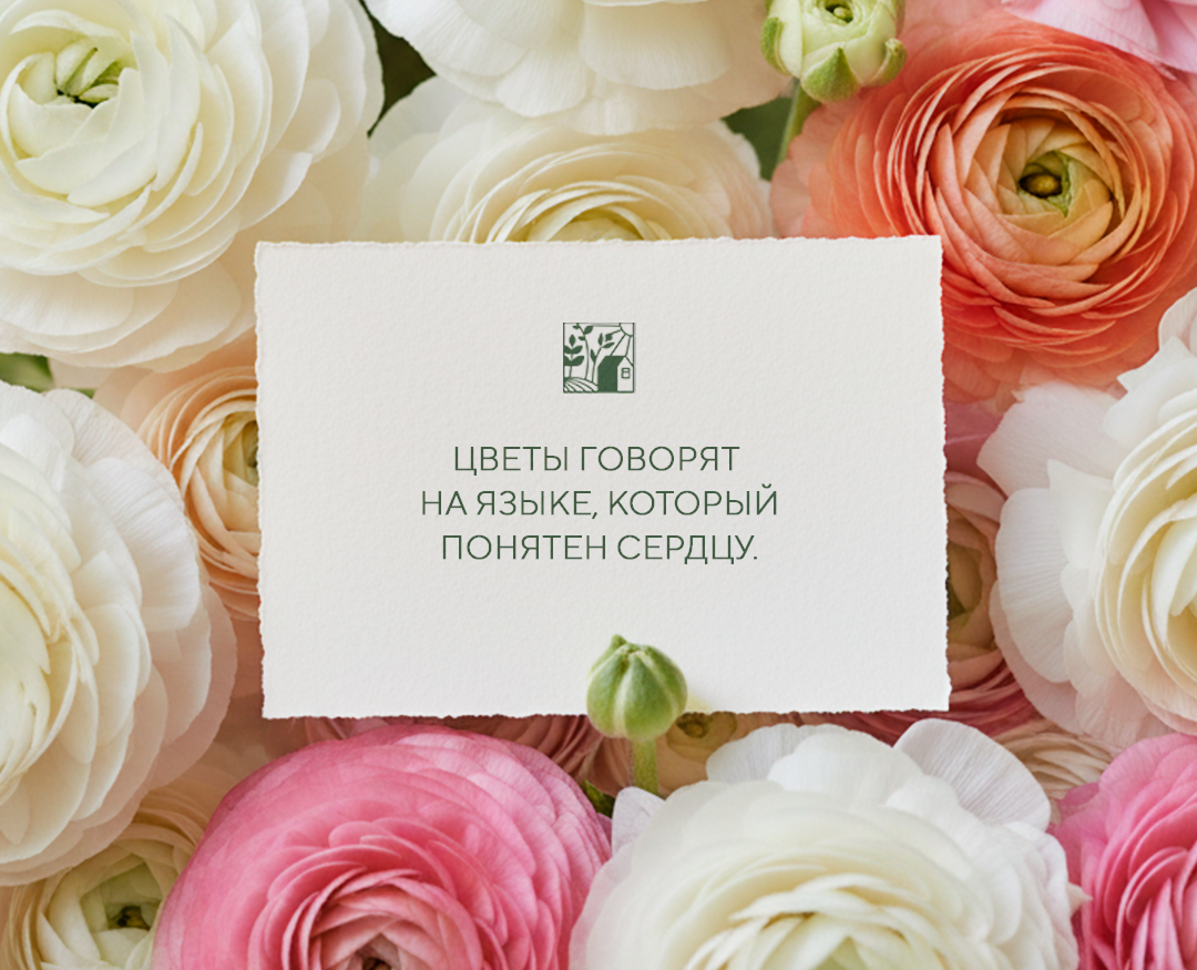 Рекламные материалы для El Flower Farm — Маркетинг на Dprofile