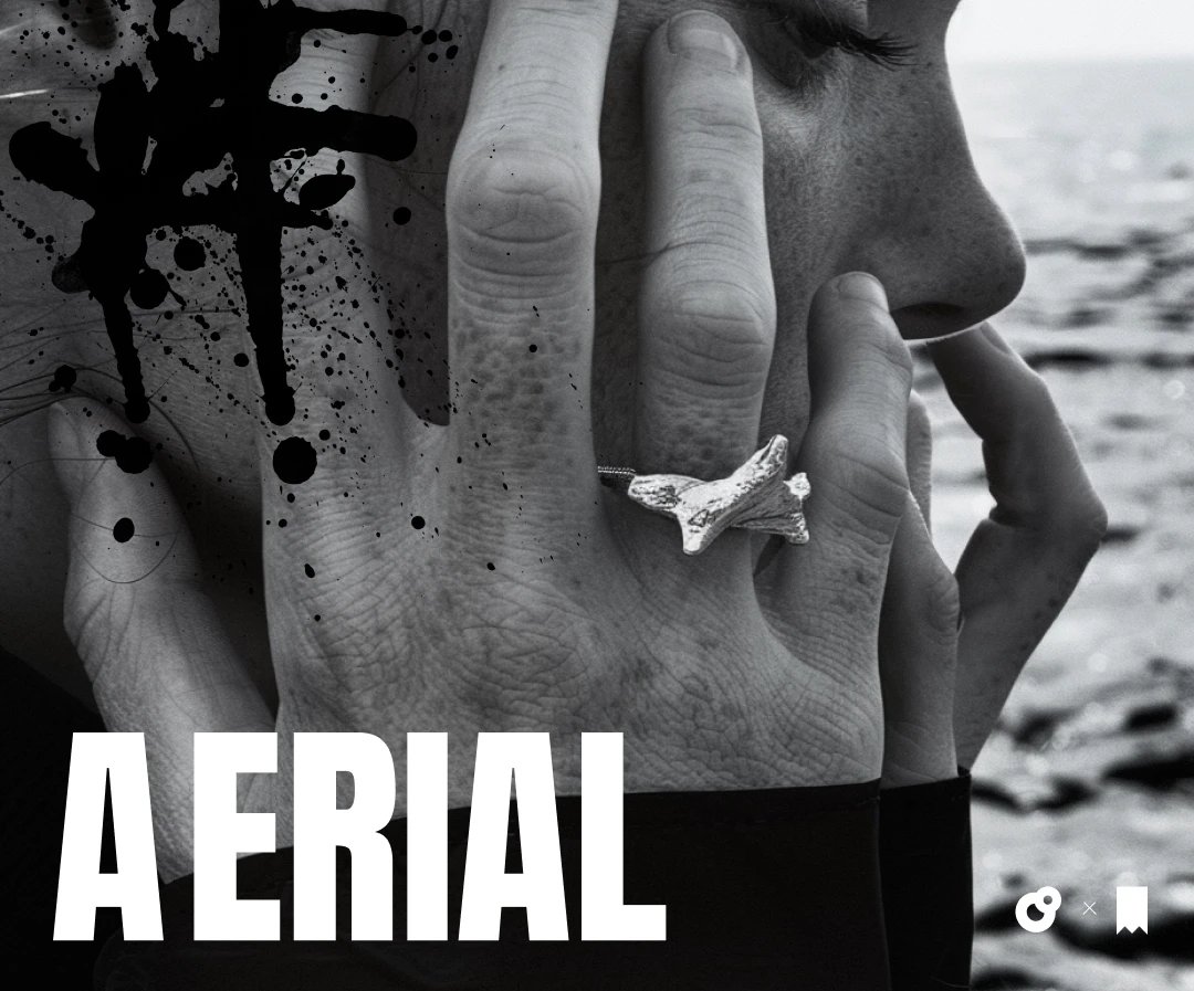 AERIAL | логотип для бренда ювелирных изделий — Изображение №1 — Брендинг на Dprofile