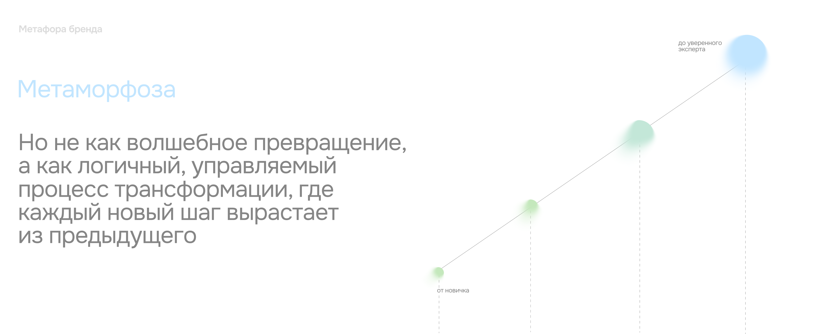 You Morph — Изображение №4 — Брендинг, Маркетинг на Dprofile