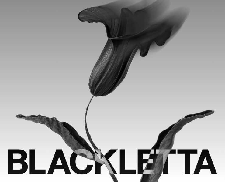 BLACKLETTA — Брендинг, Графика на Dprofile
