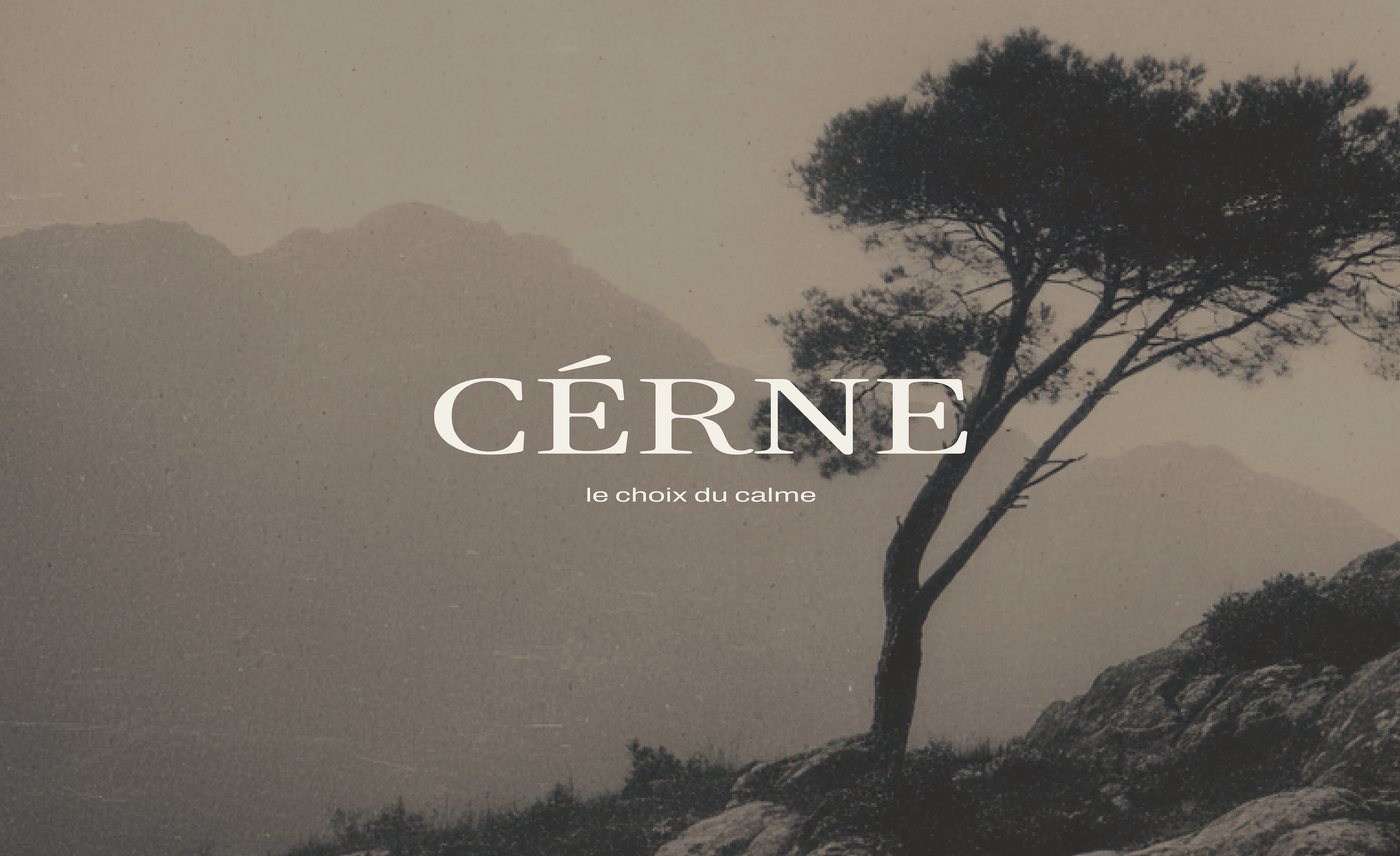 CÉRNE — quiet luxury brand concept — Изображение №1 — Брендинг на Dprofile