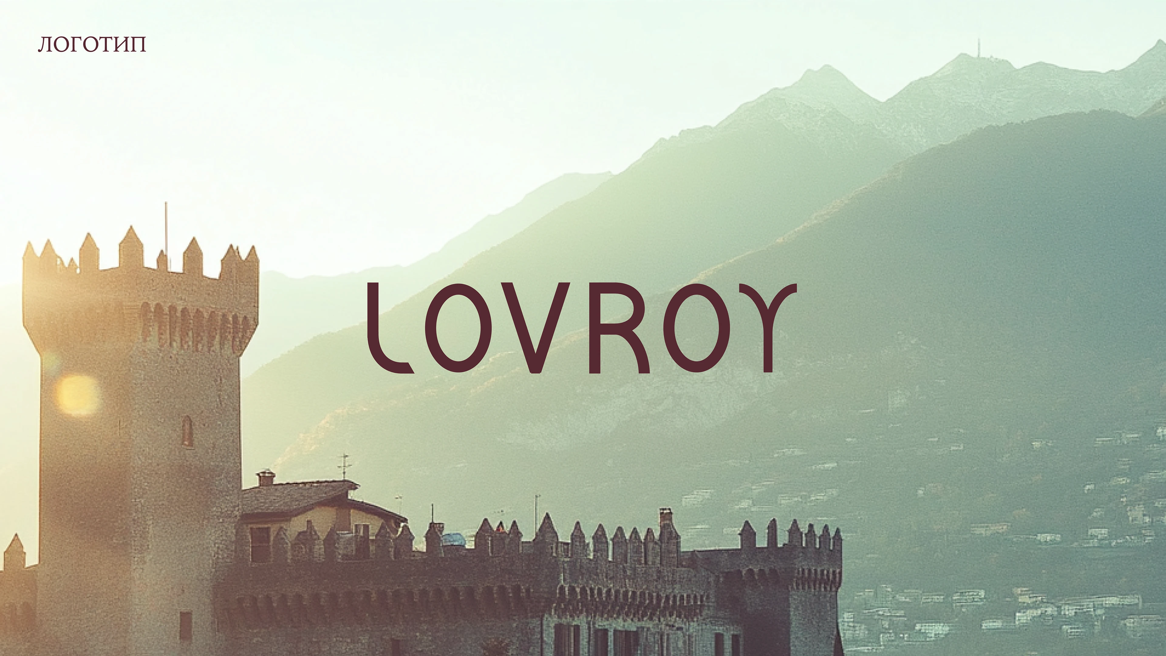 Айдентика для бренда сумок — Изображение №4 — Интерфейсы, Брендинг на Dprofile