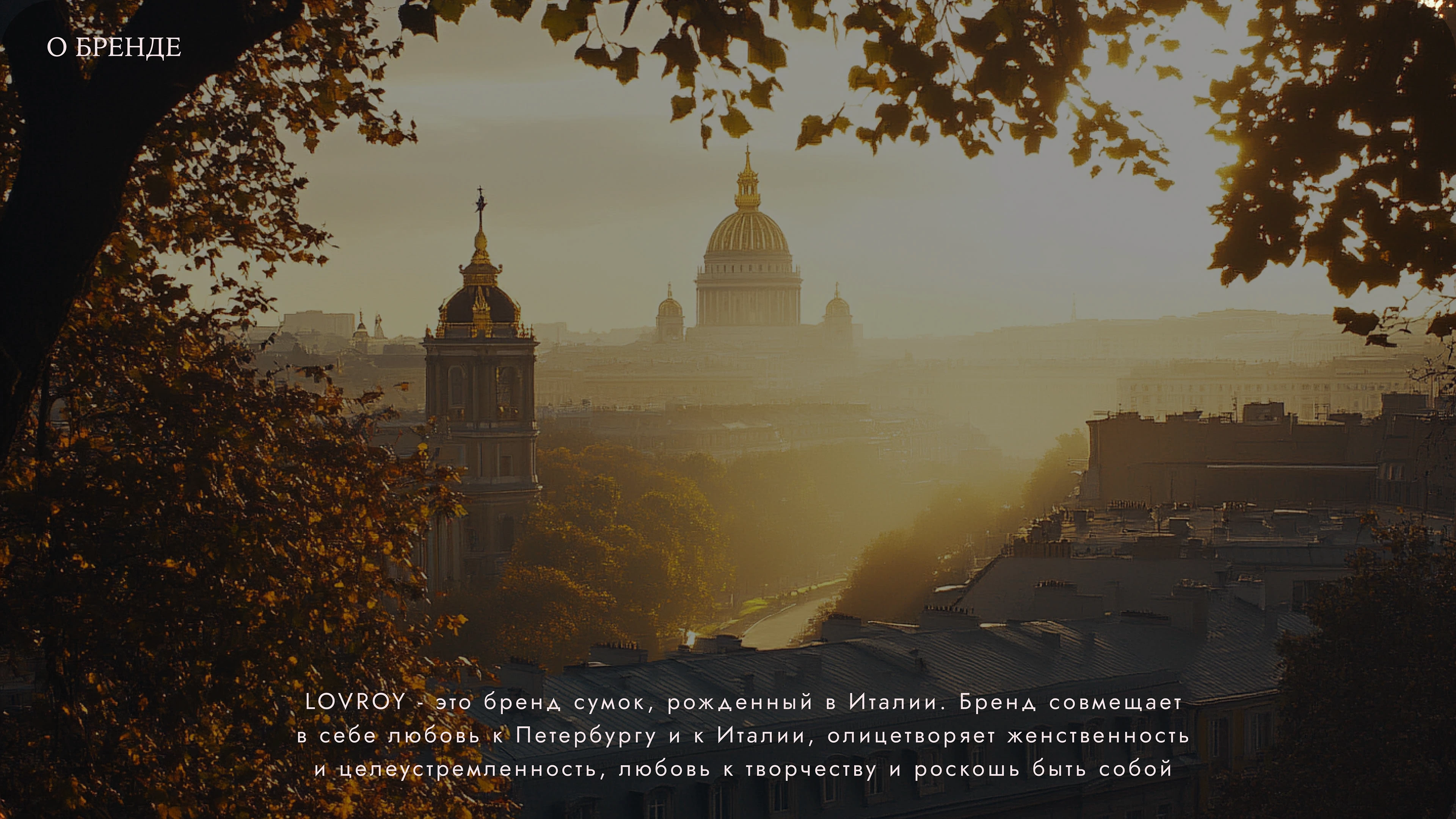 Айдентика для бренда сумок — Изображение №2 — Интерфейсы, Брендинг на Dprofile