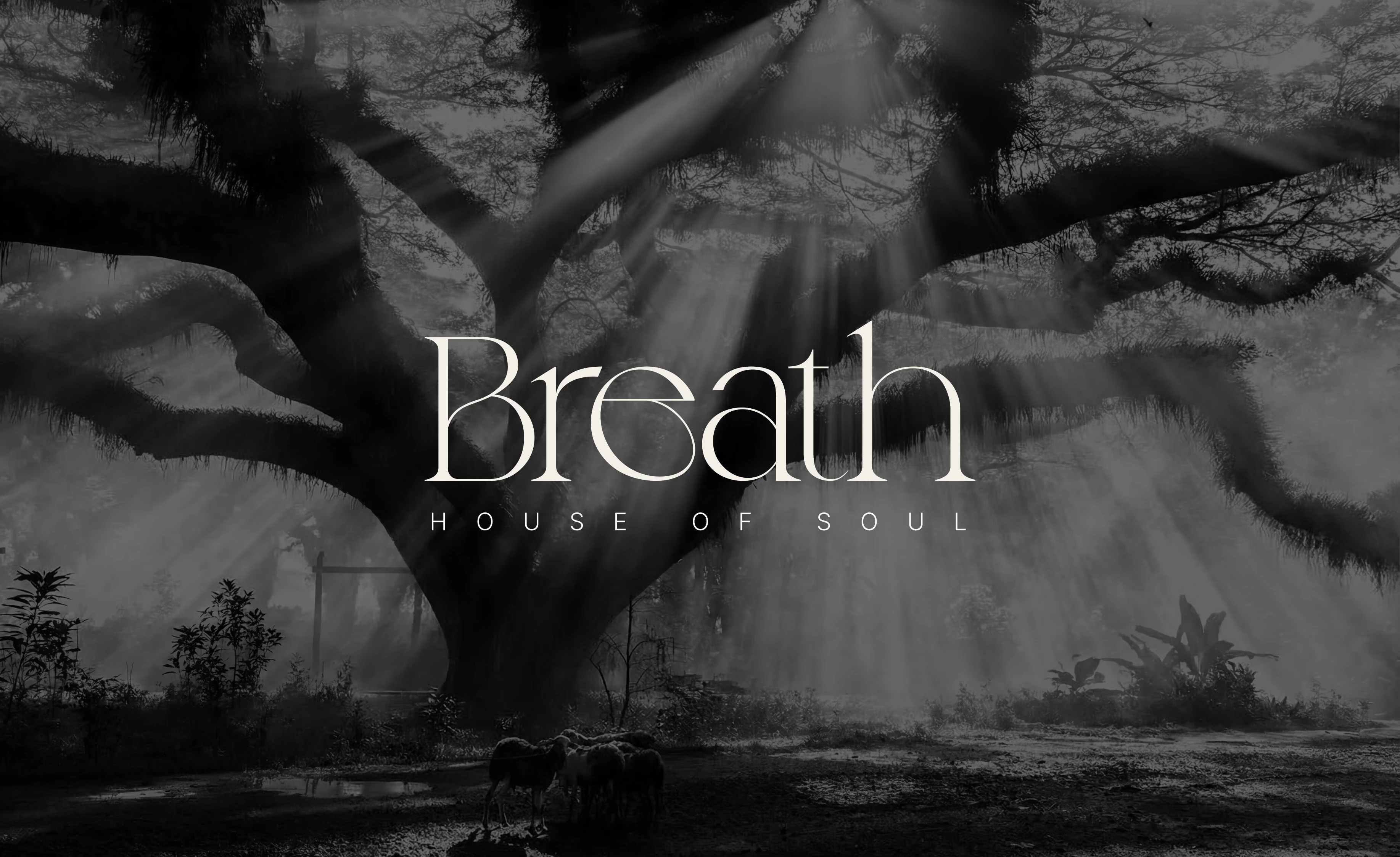 Breath - айдентика для студии йоги и спа — Изображение №1 — Брендинг на Dprofile