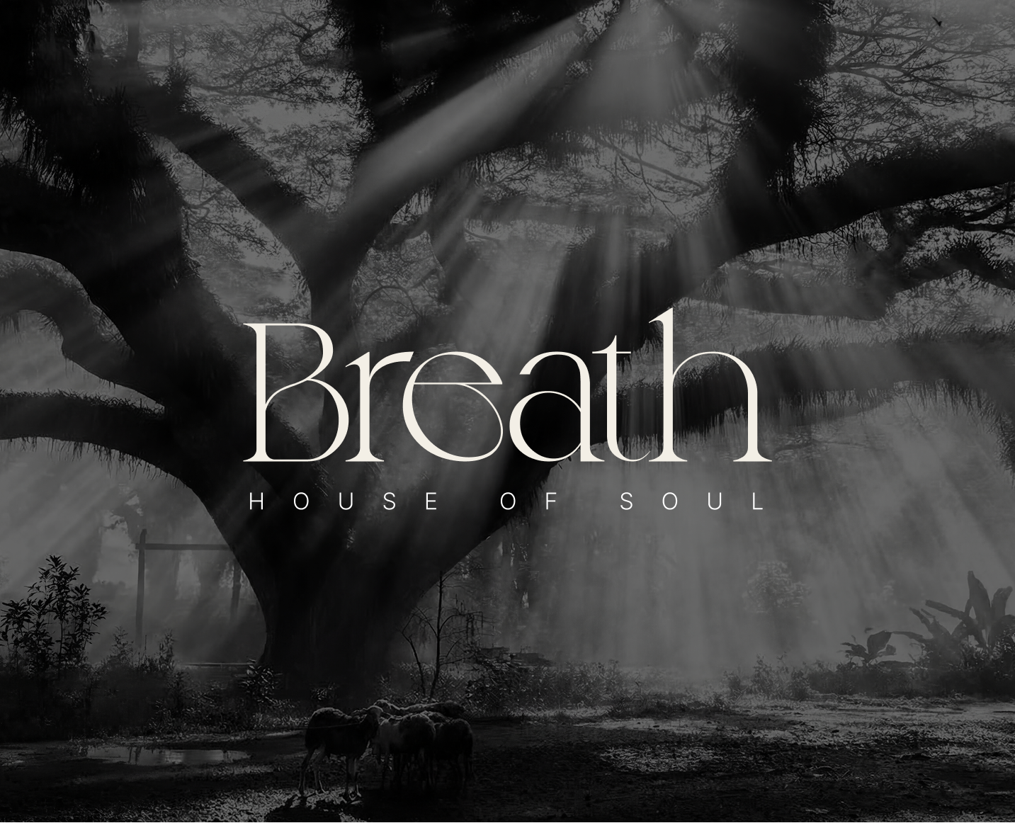 Breath - айдентика для студии йоги и спа — Брендинг на Dprofile