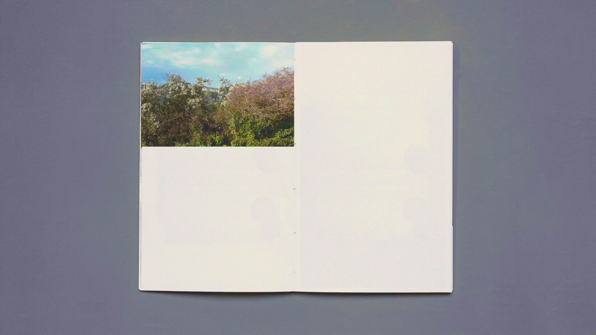 Сцены последнего дня на Земле — Изображение №16 — Графика на Dprofile