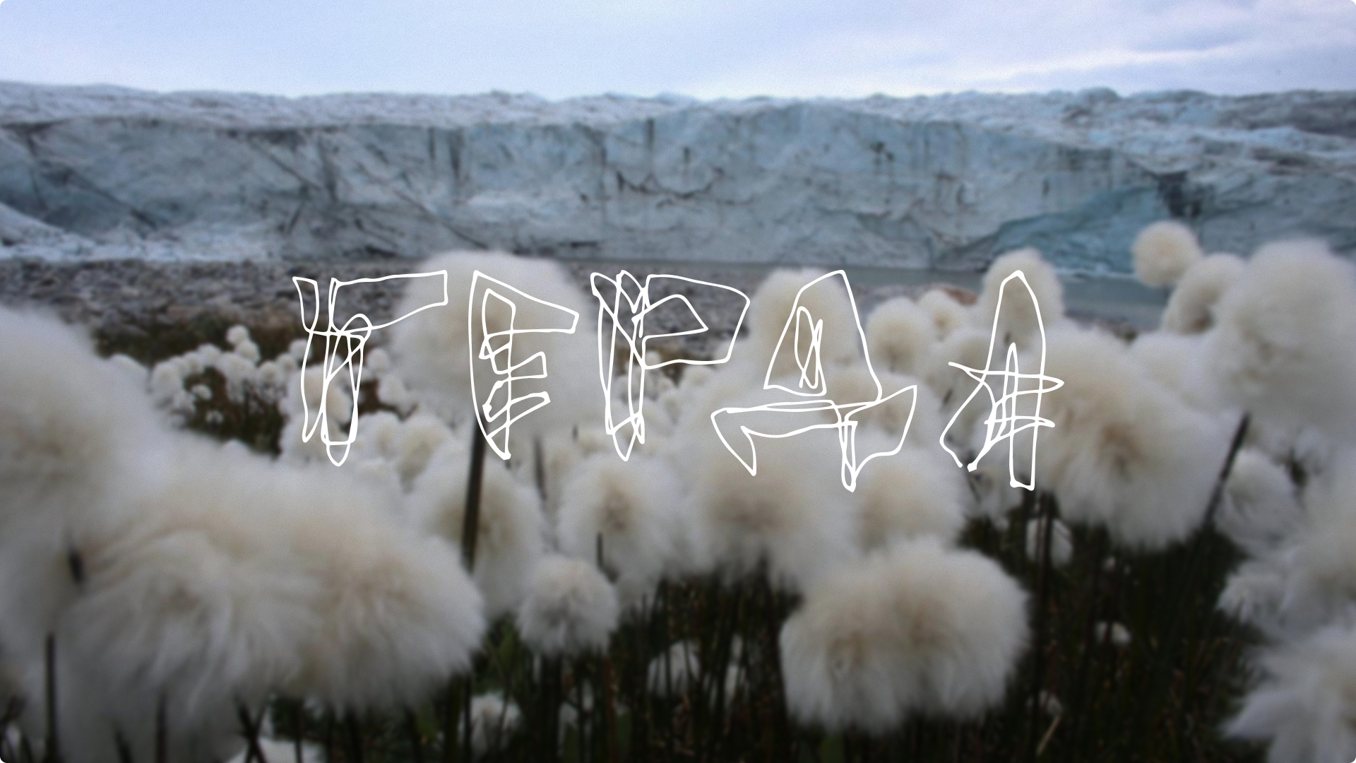 ЛОГОТИПЫ ДЛЯ СЕВЕРНОГО БРЕНДА «ГЕРДА». ЛЕТТЕРИНГ. — Изображение №9 — Брендинг, Графика на Dprofile