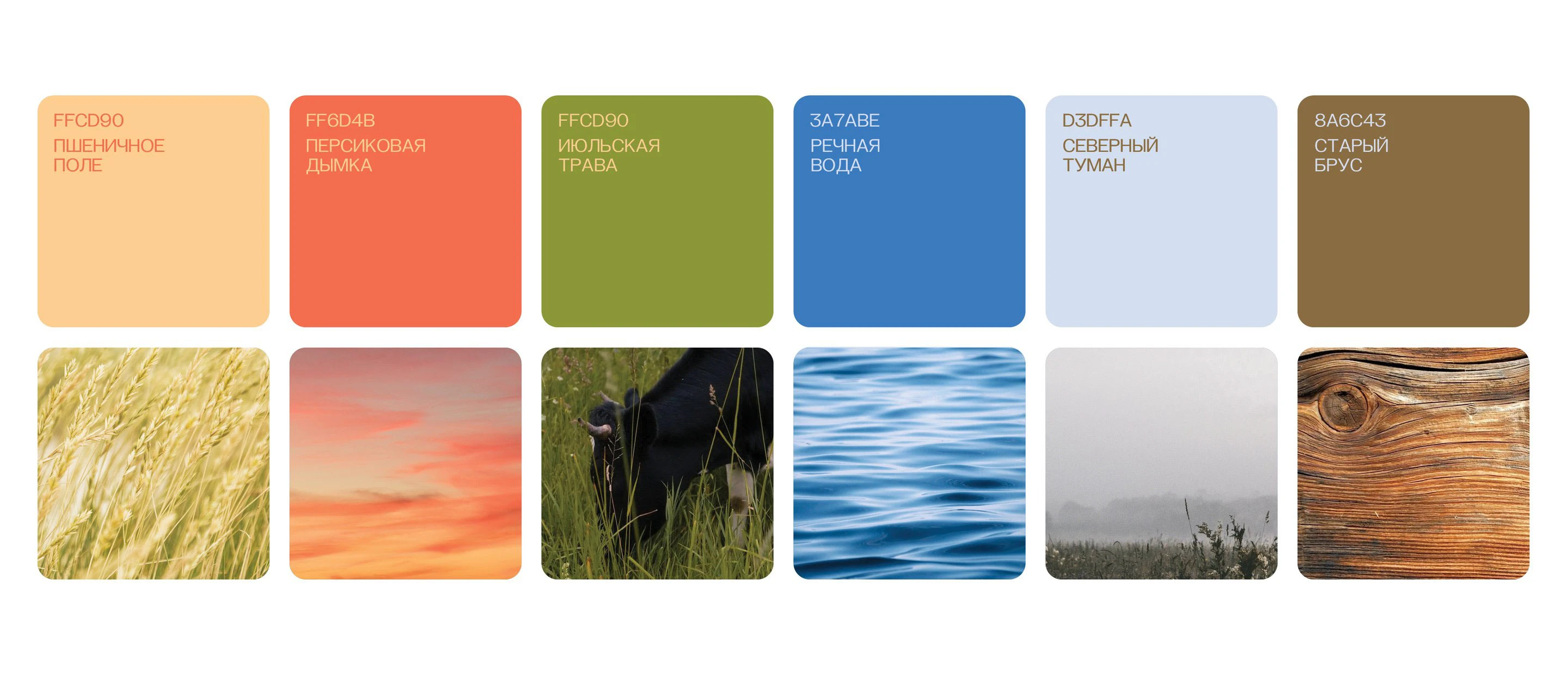 Brand identity for the Folk Camp in the Russian North — Изображение №3 — Брендинг на Dprofile