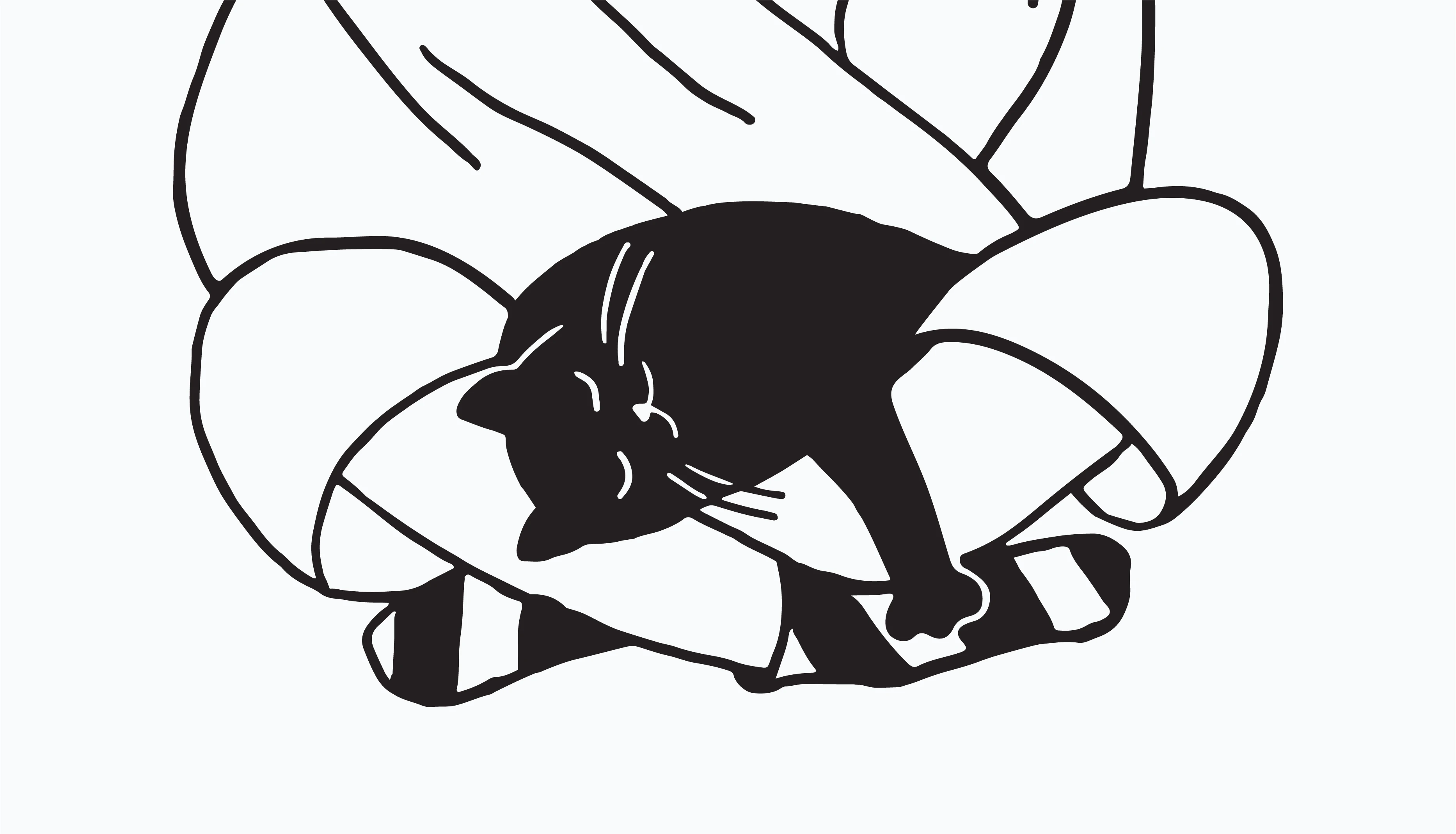 Kava ‘ipapera — Изображение №6 — Брендинг, Иллюстрация на Dprofile