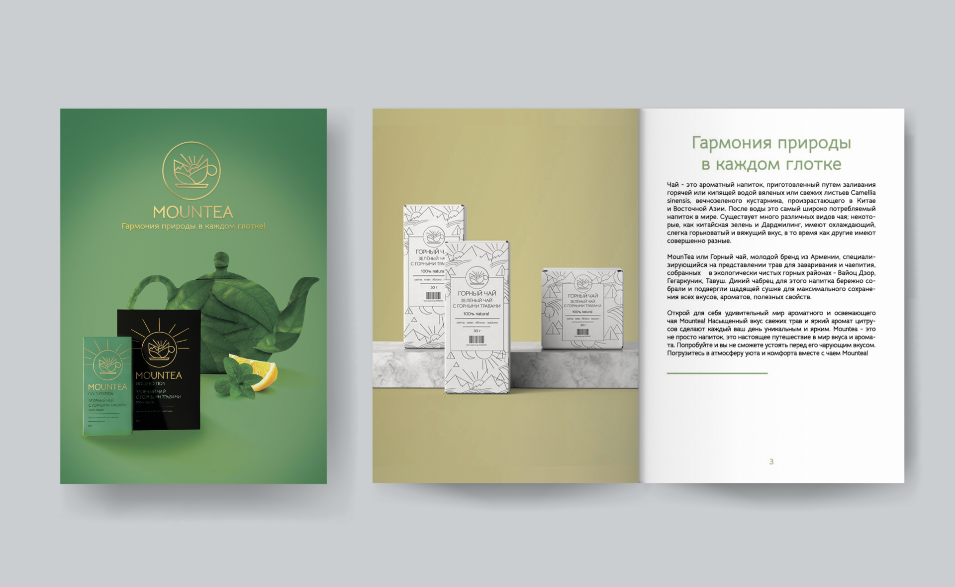 Mountea: разработка айдентики — Изображение №4 — Брендинг на Dprofile