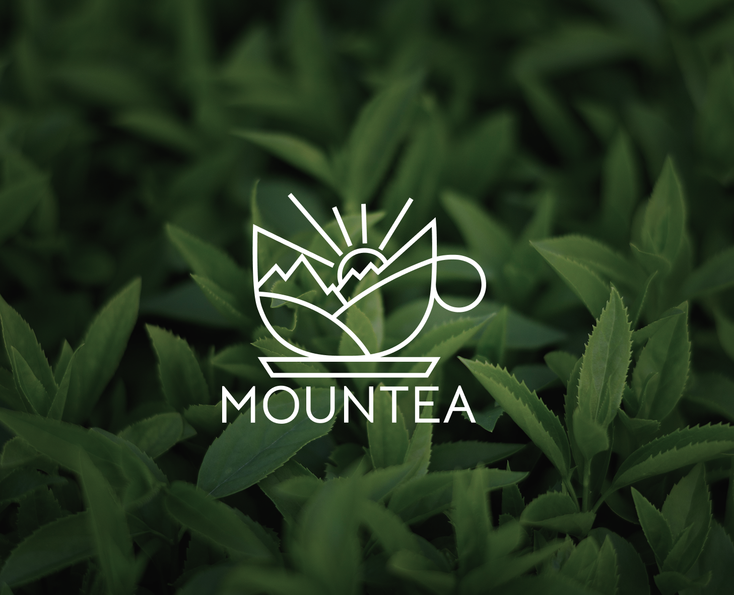 Mountea: разработка айдентики — Брендинг на Dprofile