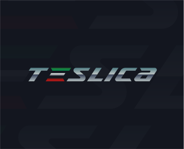 Нейминг и логотип для бренда Teslica | 2025 — Брендинг на Dprofile