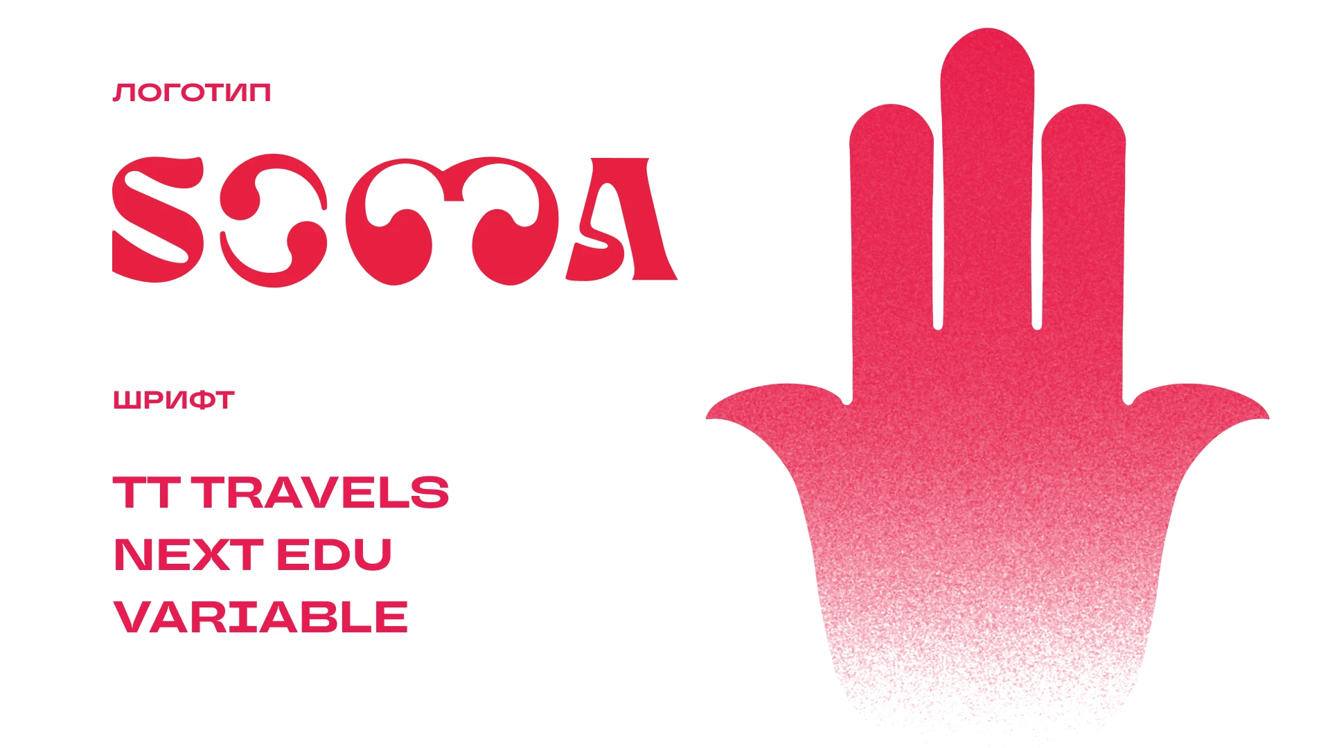 SHAMPOO BRANDING || PACKAGE DESIGN — Изображение №3 — Брендинг на Dprofile