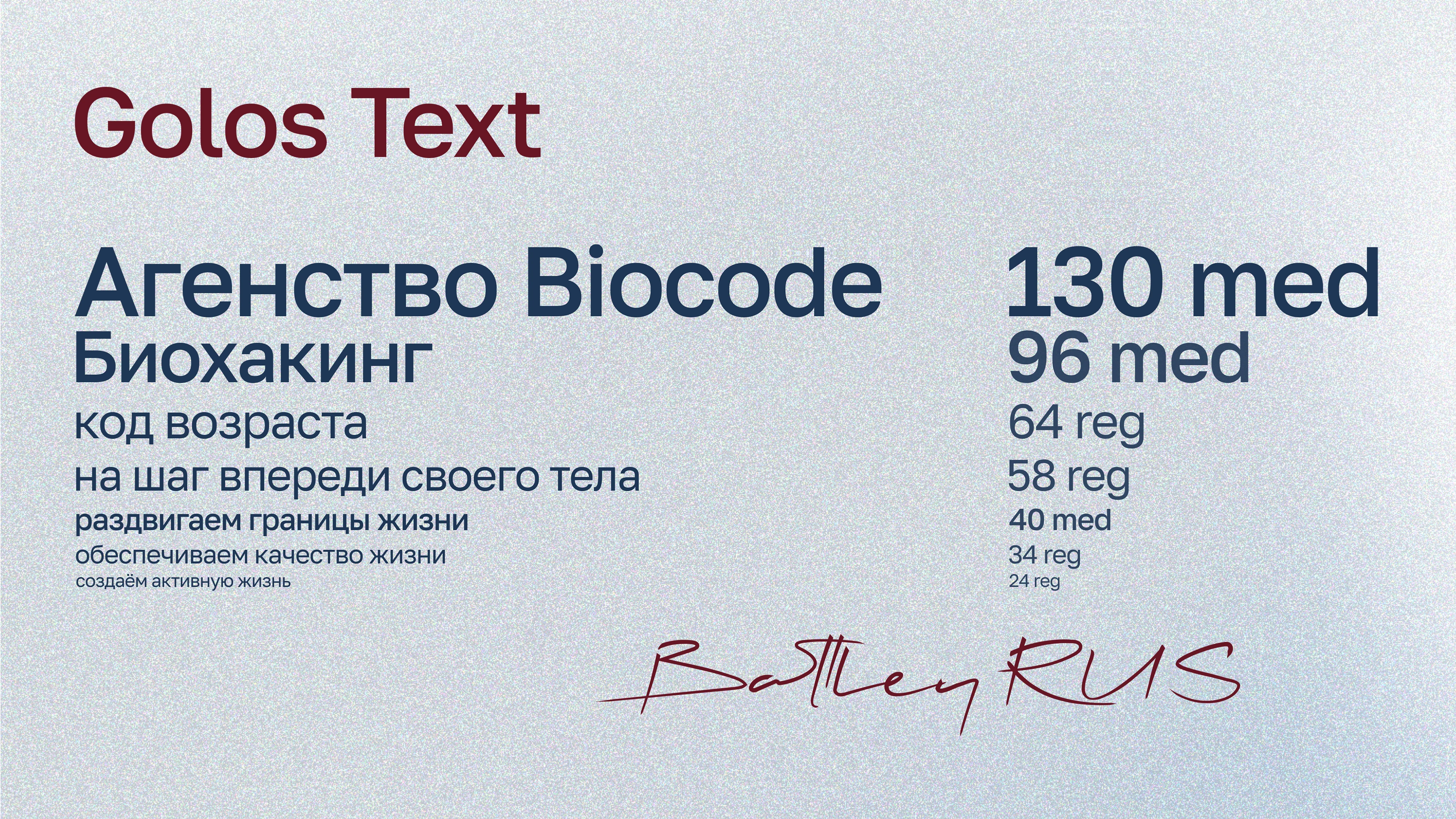 Фирменный стиль для Агенства Biocode — Изображение №4 — Брендинг на Dprofile