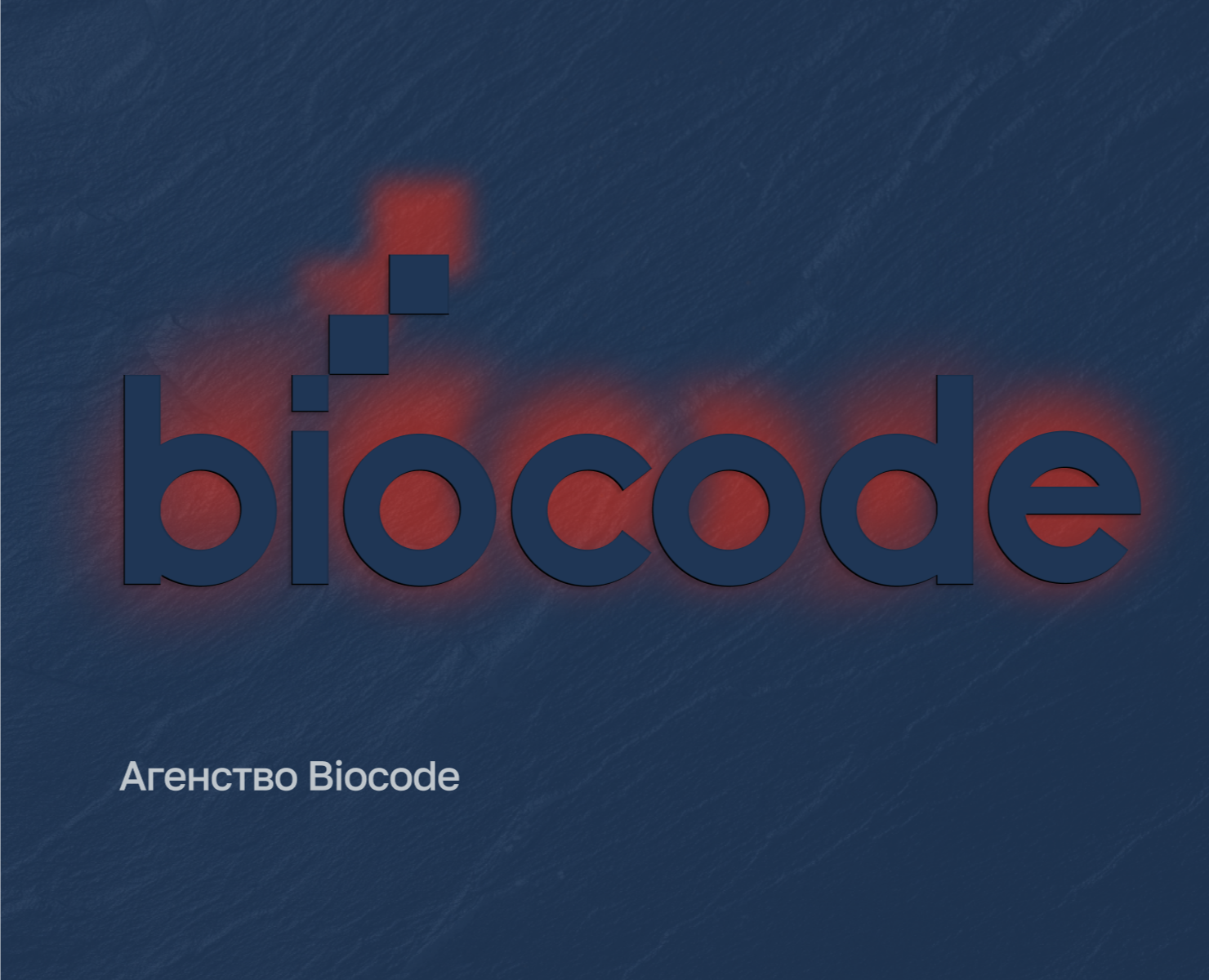 Фирменный стиль для Агенства Biocode — Брендинг на Dprofile