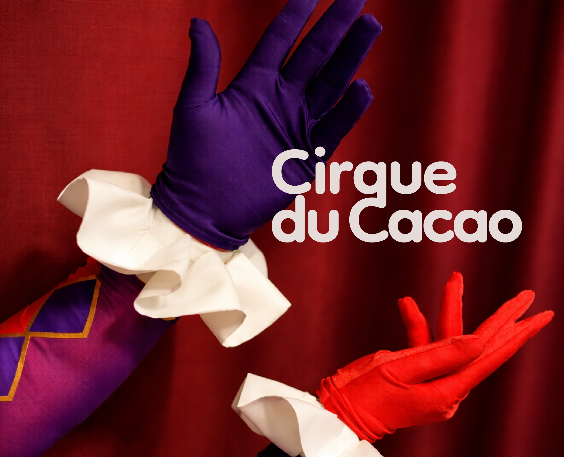 Cirque du Cacao — Брендинг на Dprofile
