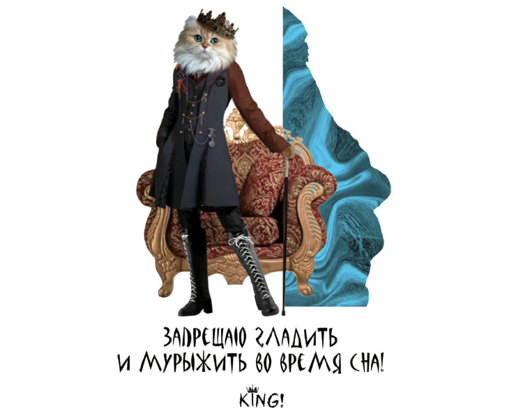Мерч для владельцев кошек — Брендинг на Dprofile