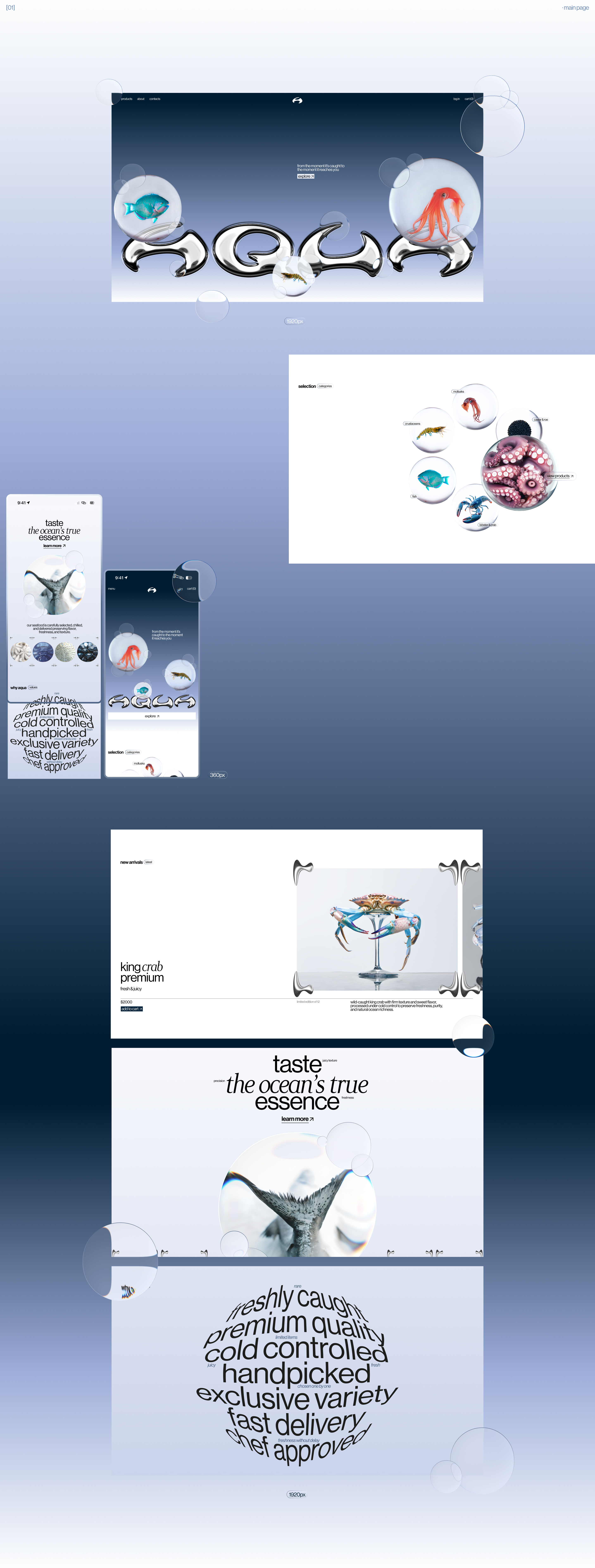 aqua - eCommerce - UX/UI — Изображение №3 — Интерфейсы, Брендинг на Dprofile