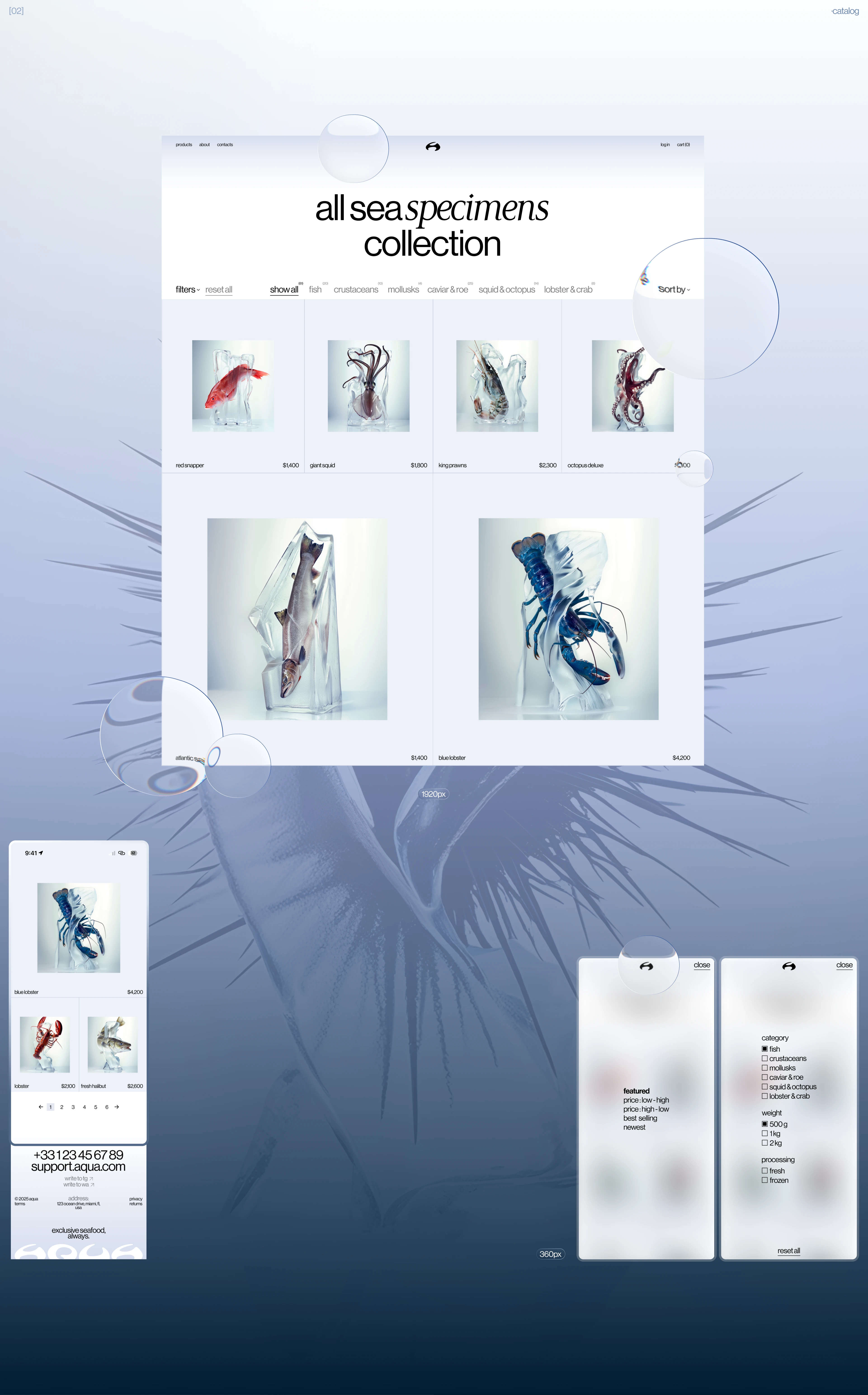aqua - eCommerce - UX/UI — Изображение №5 — Интерфейсы, Брендинг на Dprofile