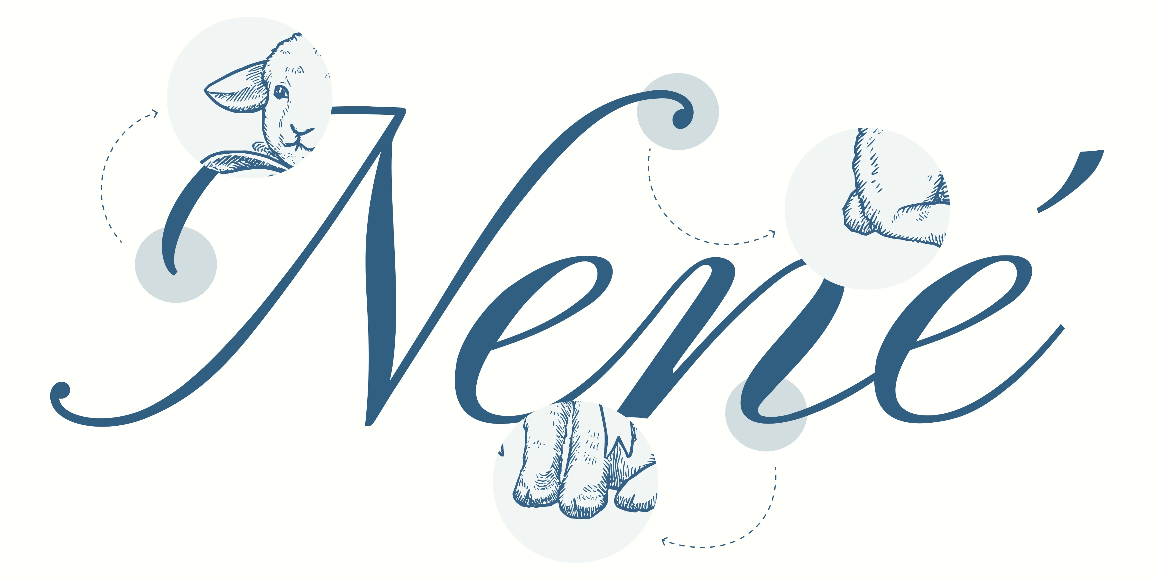 Nené | Brand Identity — Изображение №5 — Брендинг на Dprofile