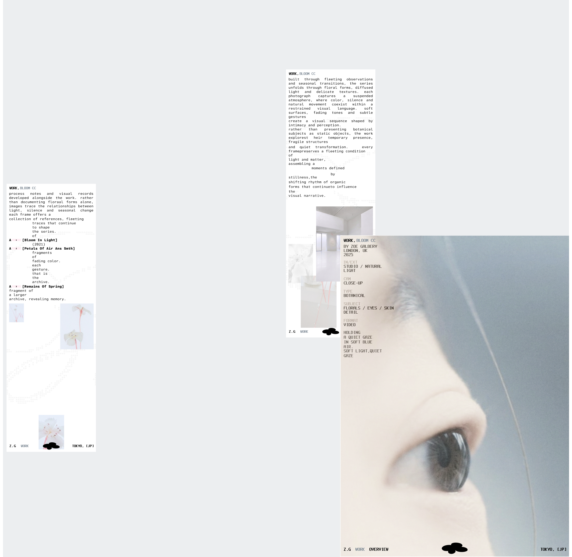 web design concept for photographer — Изображение №8 — Интерфейсы, Нейро на Dprofile