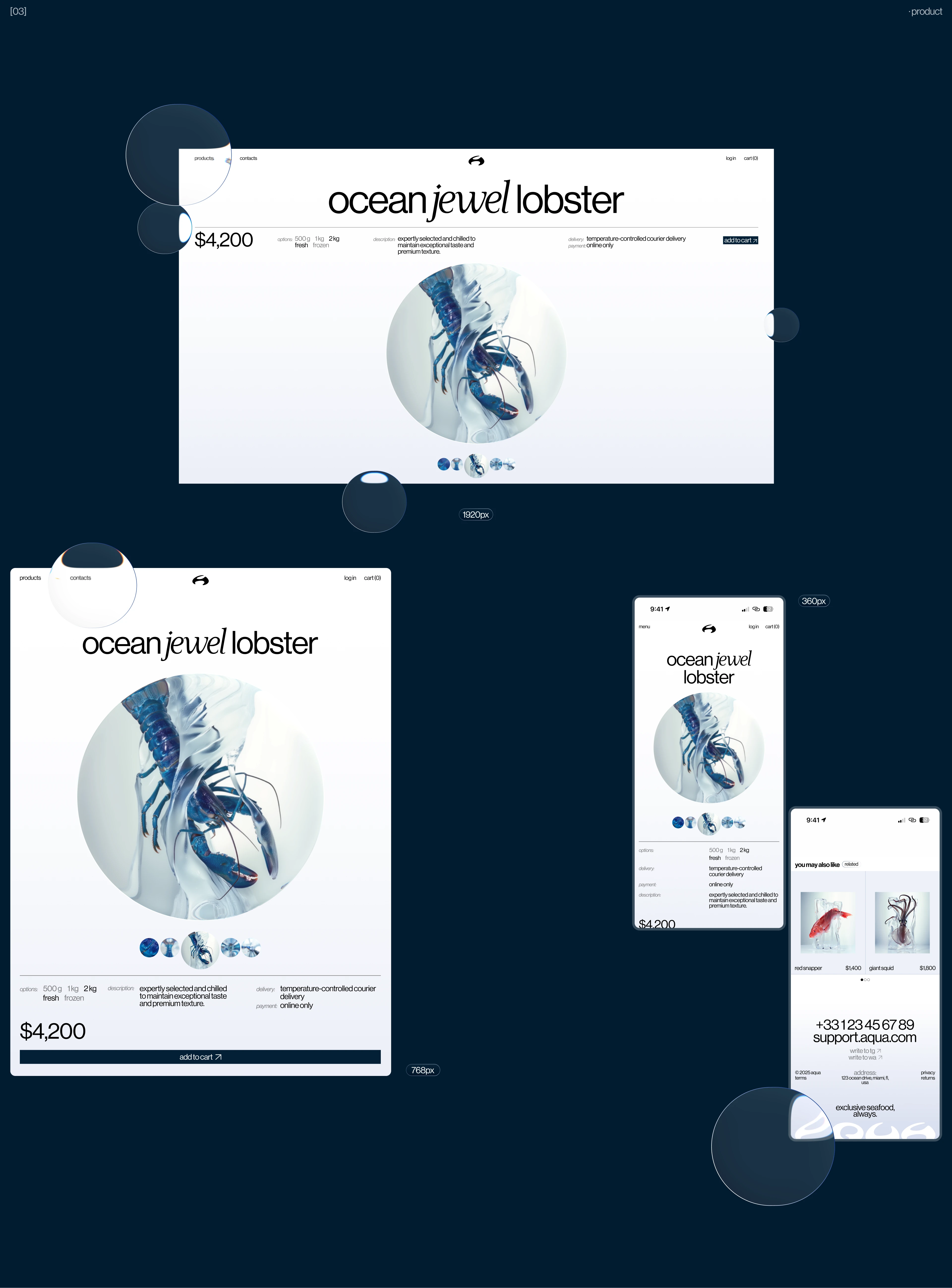 aqua - eCommerce - UX/UI — Изображение №7 — Интерфейсы, Брендинг на Dprofile