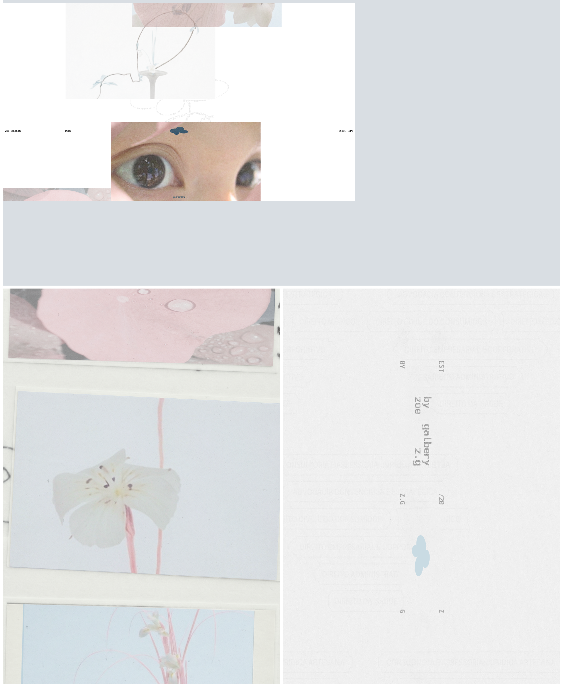 web design concept for photographer — Изображение №2 — Интерфейсы, Нейро на Dprofile