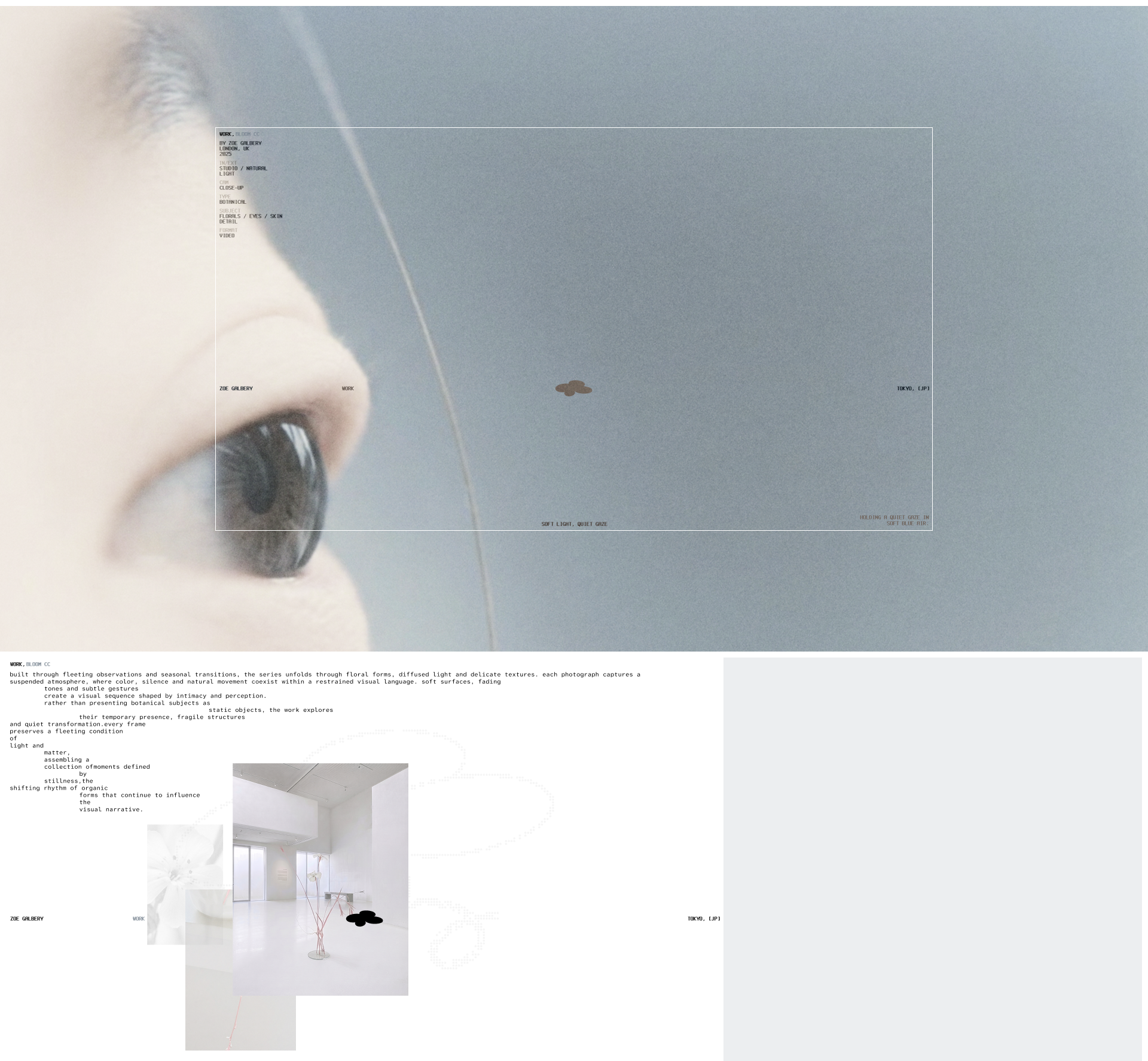 web design concept for photographer — Изображение №7 — Интерфейсы, Нейро на Dprofile