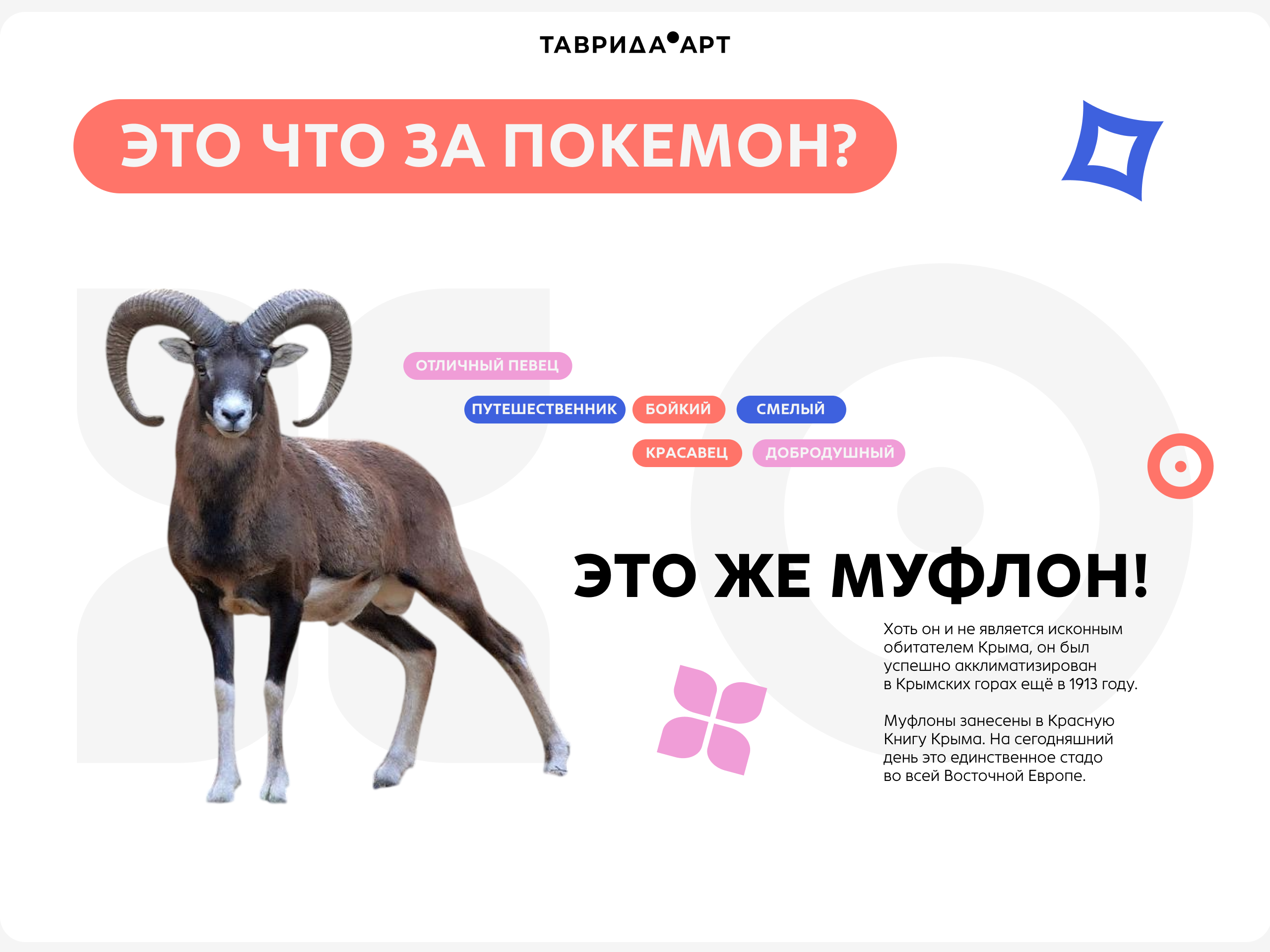 Тавроня | Маскот Таврида.Арт — Изображение №3 — Брендинг, Иллюстрация на Dprofile