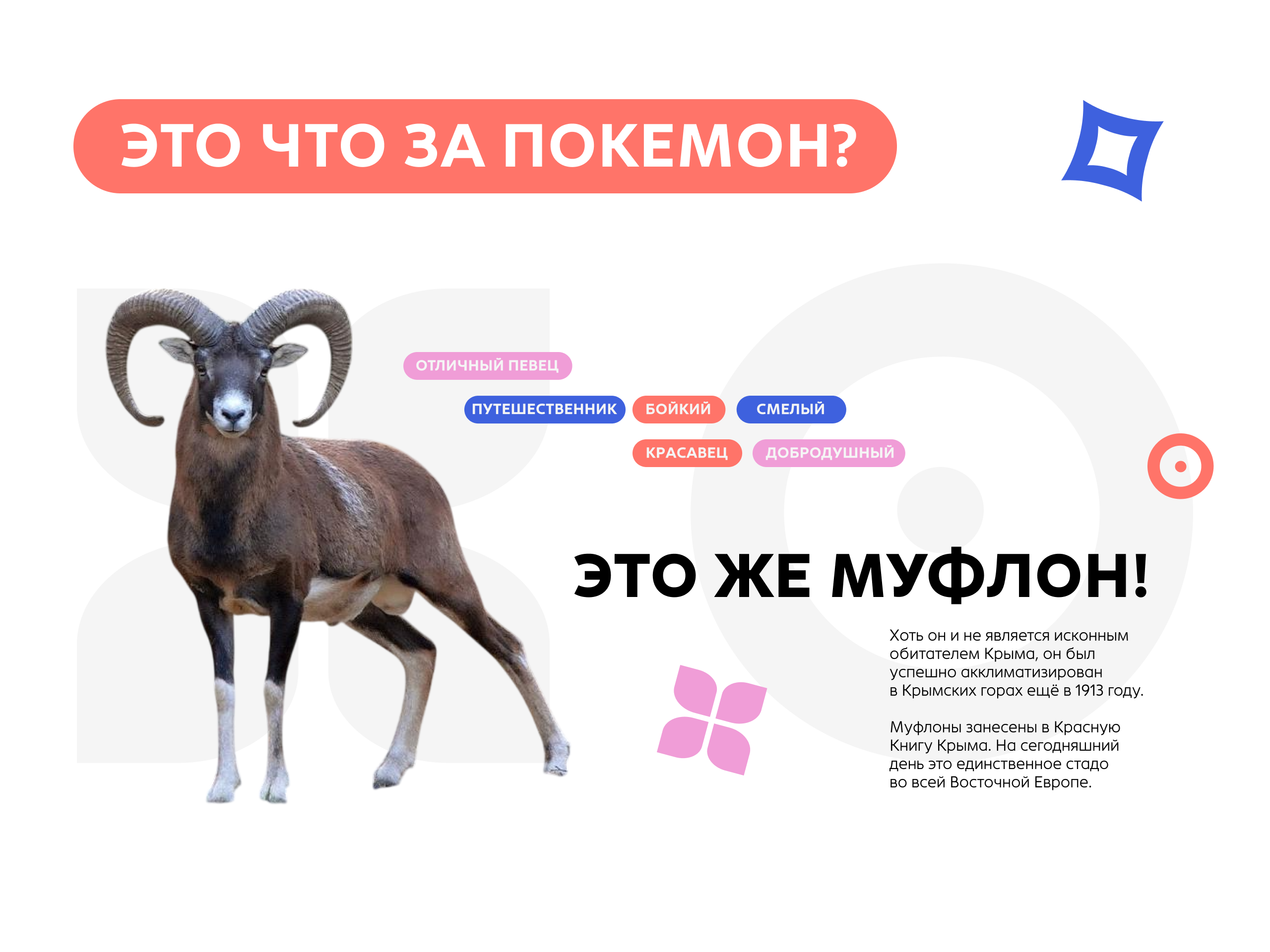 Тавроня | Маскот Таврида.Арт — Изображение №3 — Брендинг, Иллюстрация на Dprofile