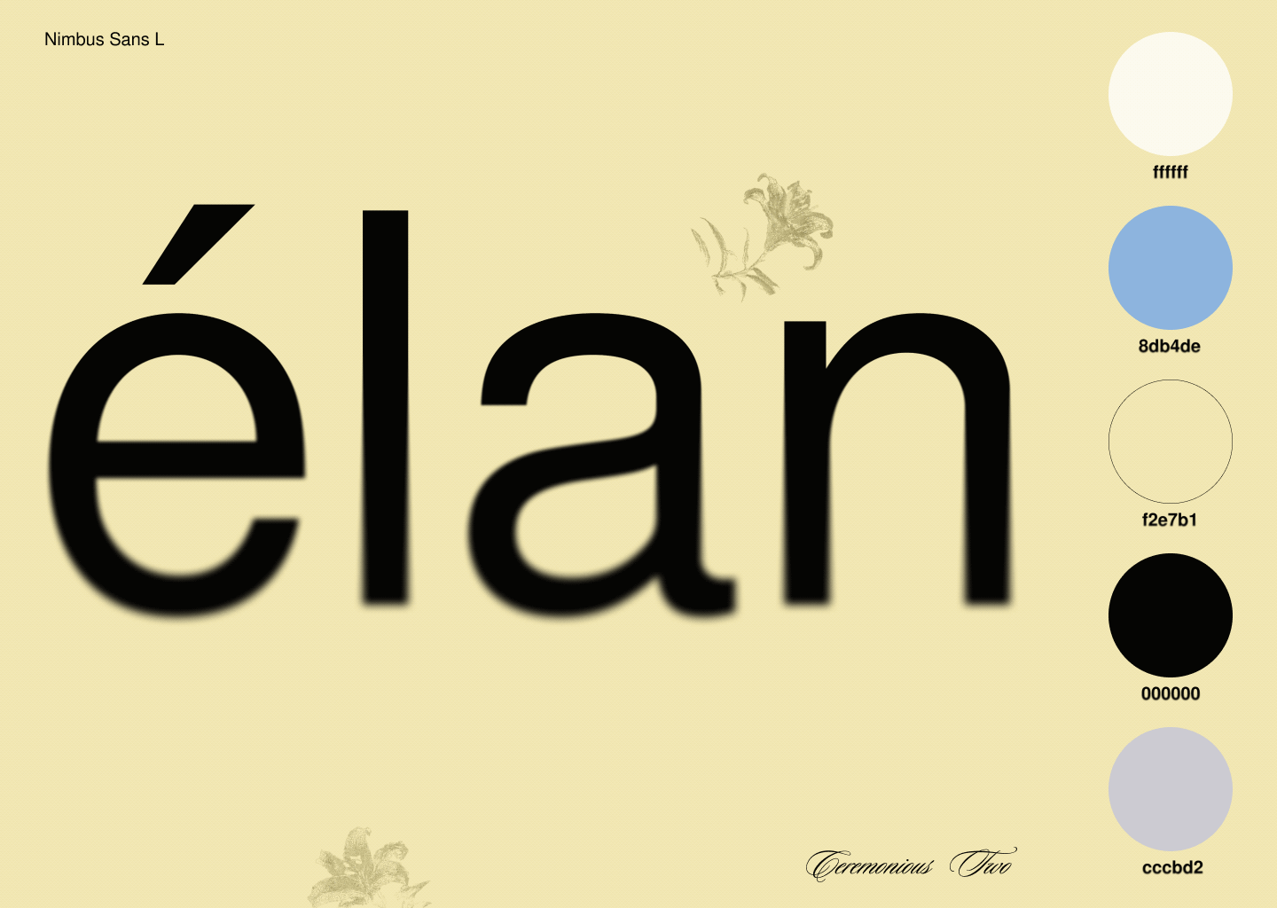 ÉLAN — Изображение №5 — Интерфейсы, Брендинг на Dprofile