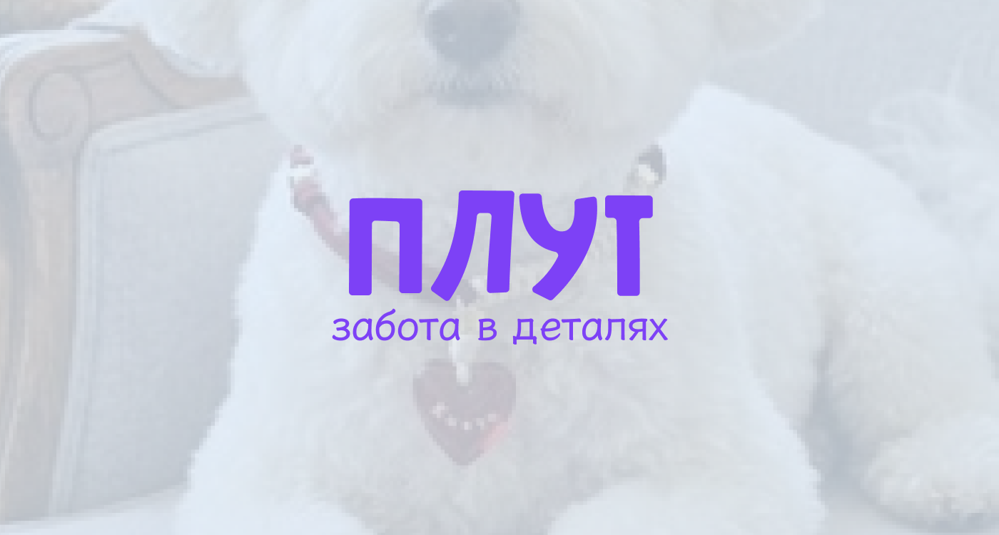 Плут | дизайн социальных сетей — Изображение №1 — Брендинг на Dprofile