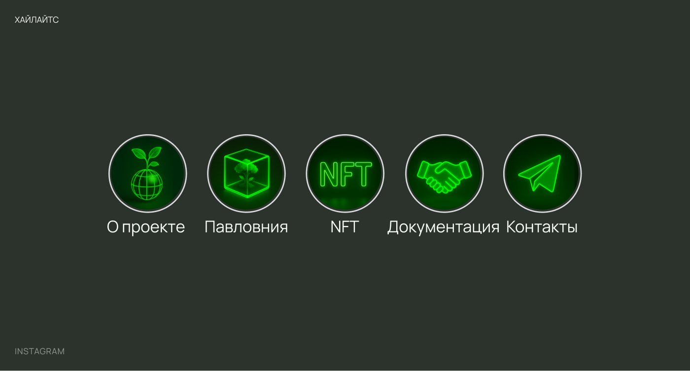 Greenful | brand identity — Изображение №15 — Брендинг на Dprofile