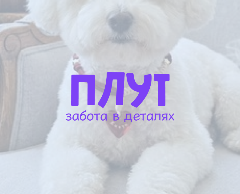 Плут | дизайн социальных сетей — Брендинг на Dprofile