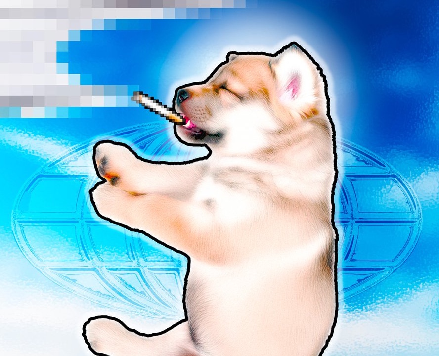 Цензура пес на Dprofile