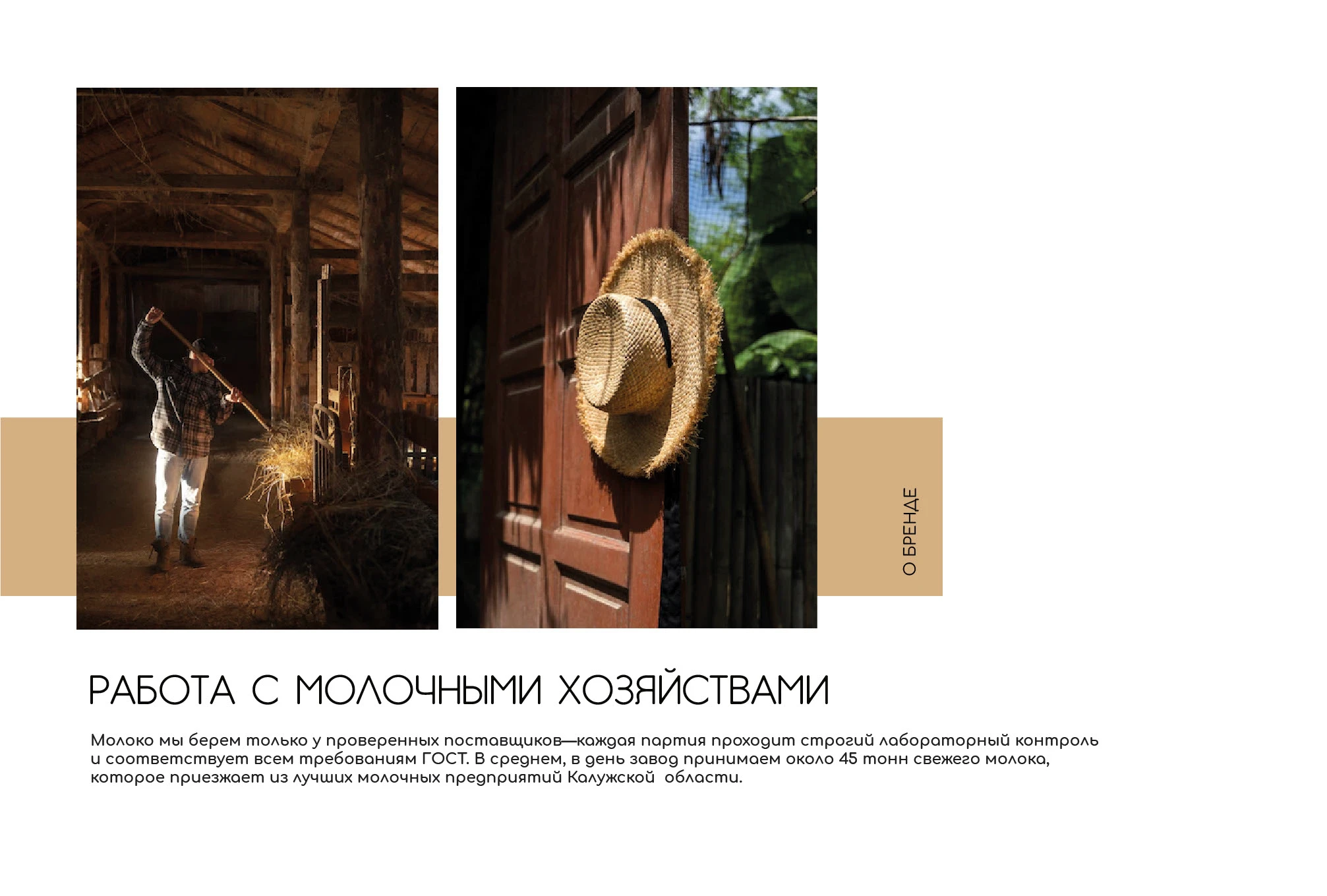 Идентификация бренда молочной компании — Изображение №10 — Брендинг на Dprofile