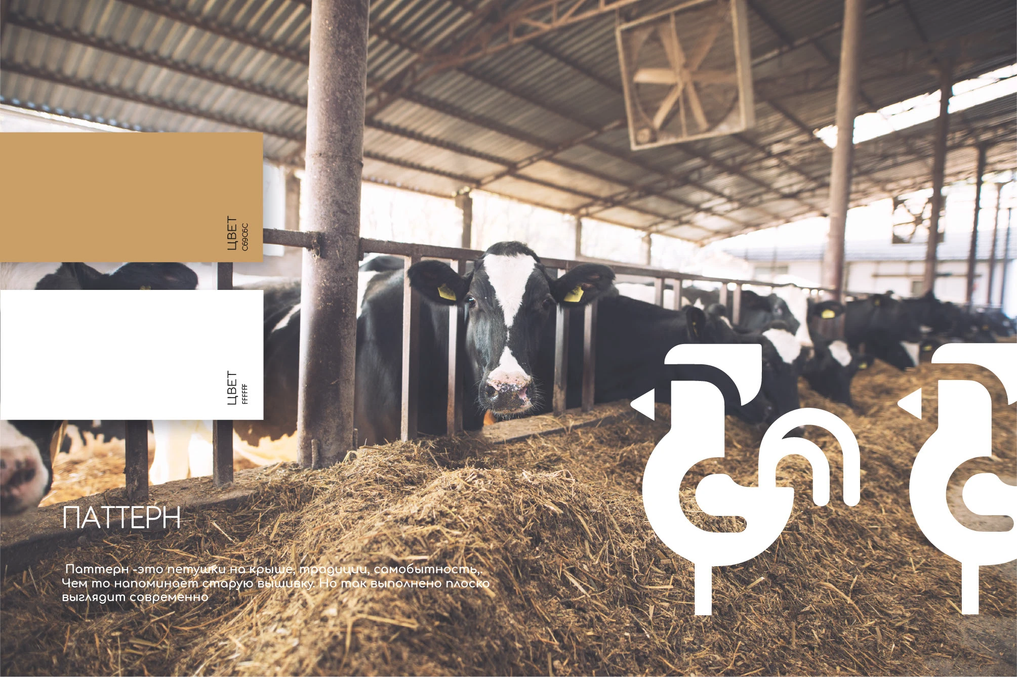 Идентификация бренда молочной компании — Изображение №5 — Брендинг на Dprofile