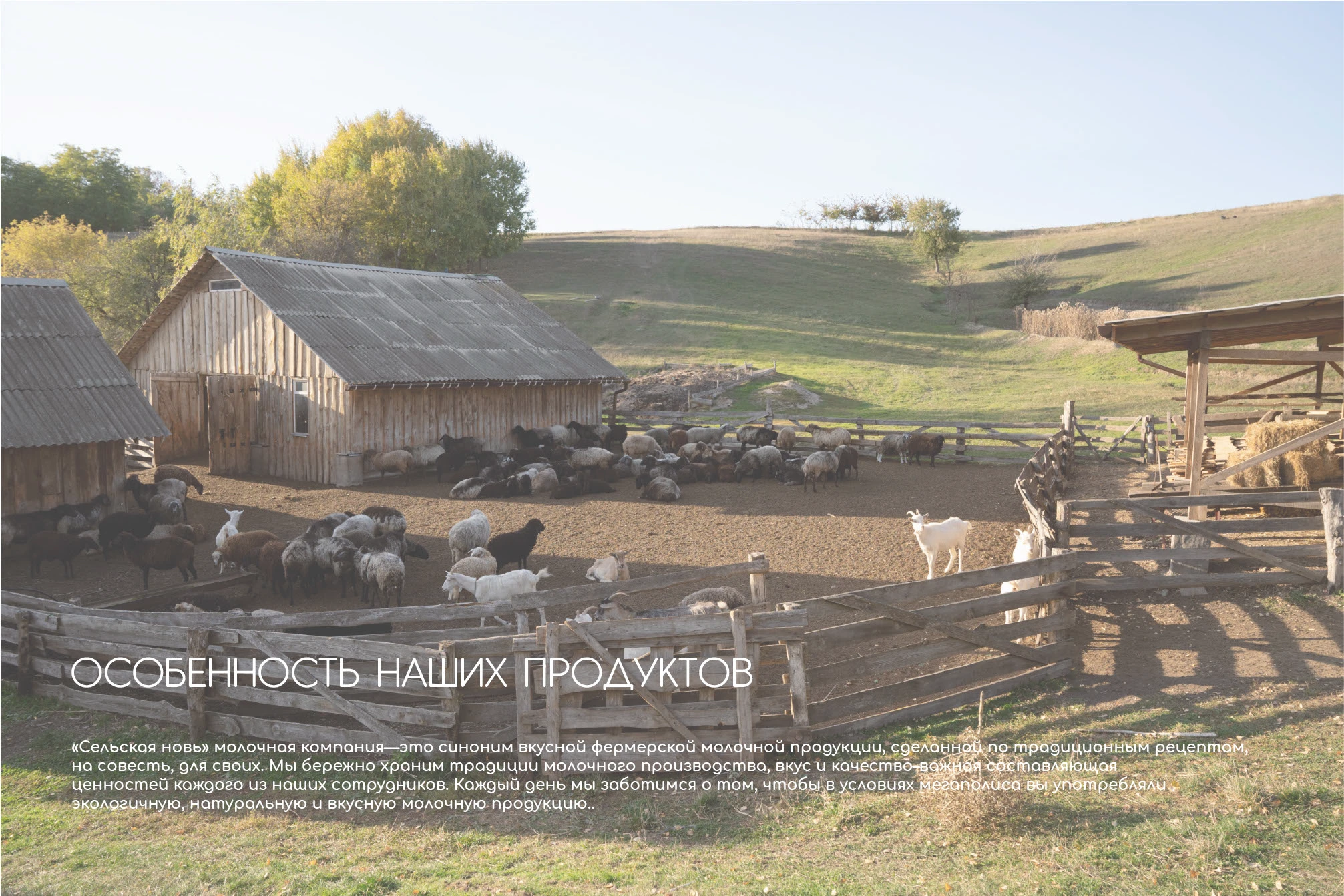 Идентификация бренда молочной компании — Изображение №11 — Брендинг на Dprofile