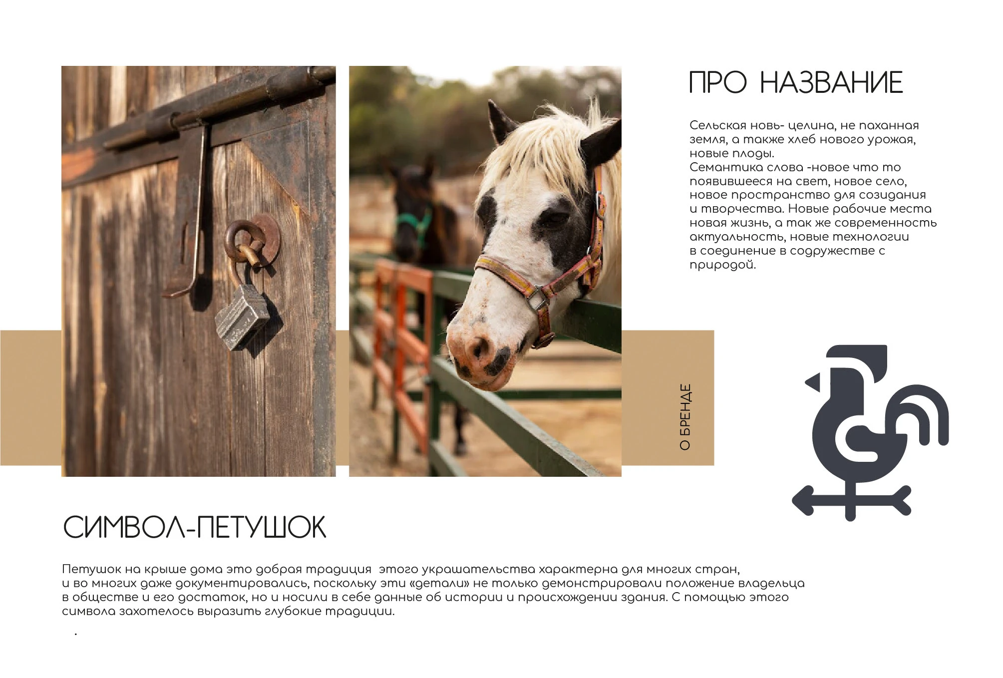 Идентификация бренда молочной компании — Изображение №2 — Брендинг на Dprofile