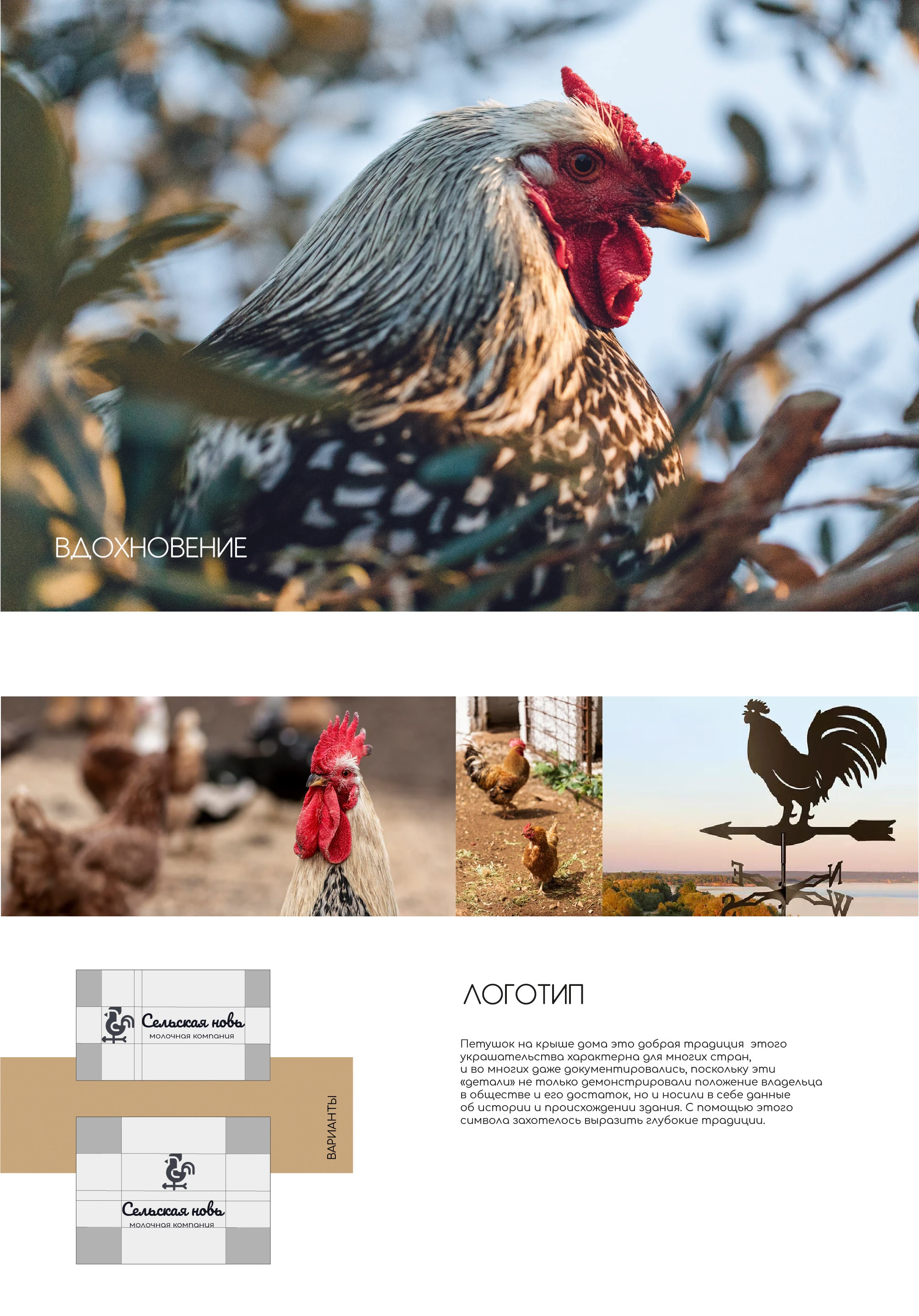Идентификация бренда молочной компании — Изображение №3 — Брендинг на Dprofile