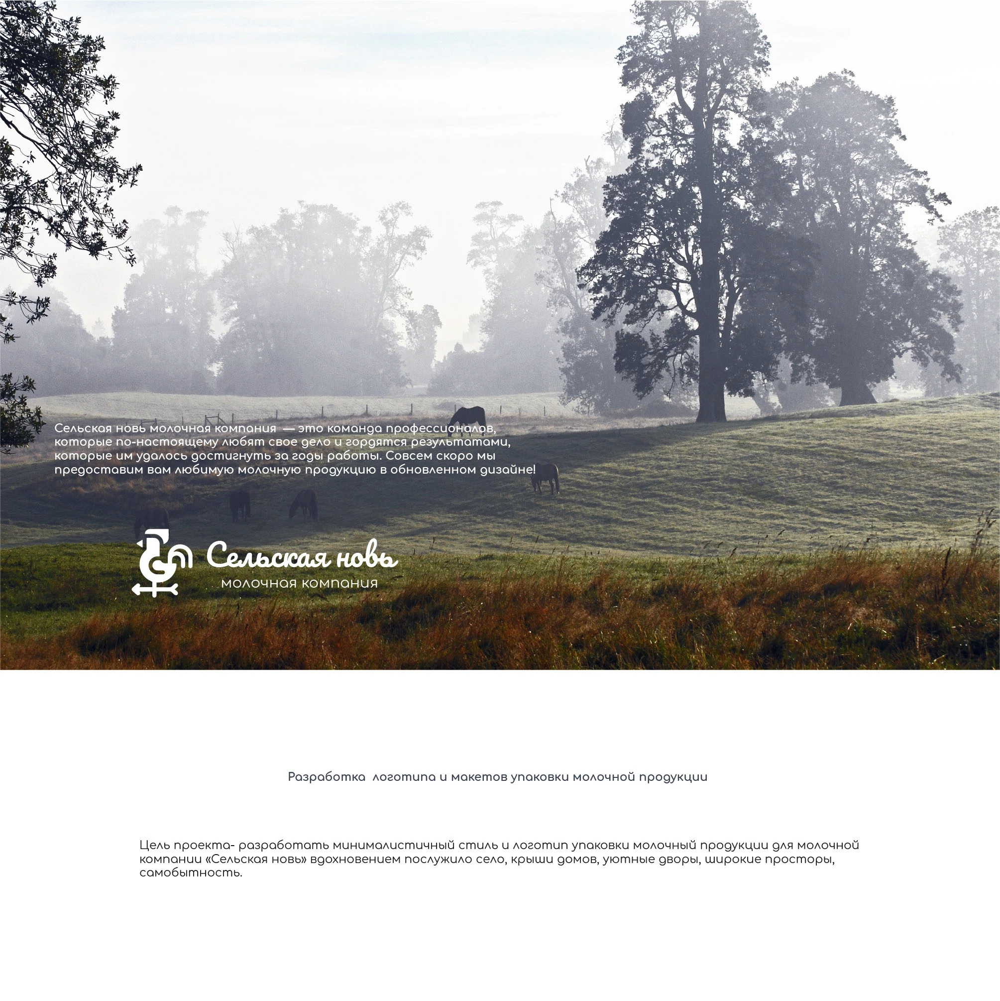 Идентификация бренда молочной компании — Изображение №1 — Брендинг на Dprofile
