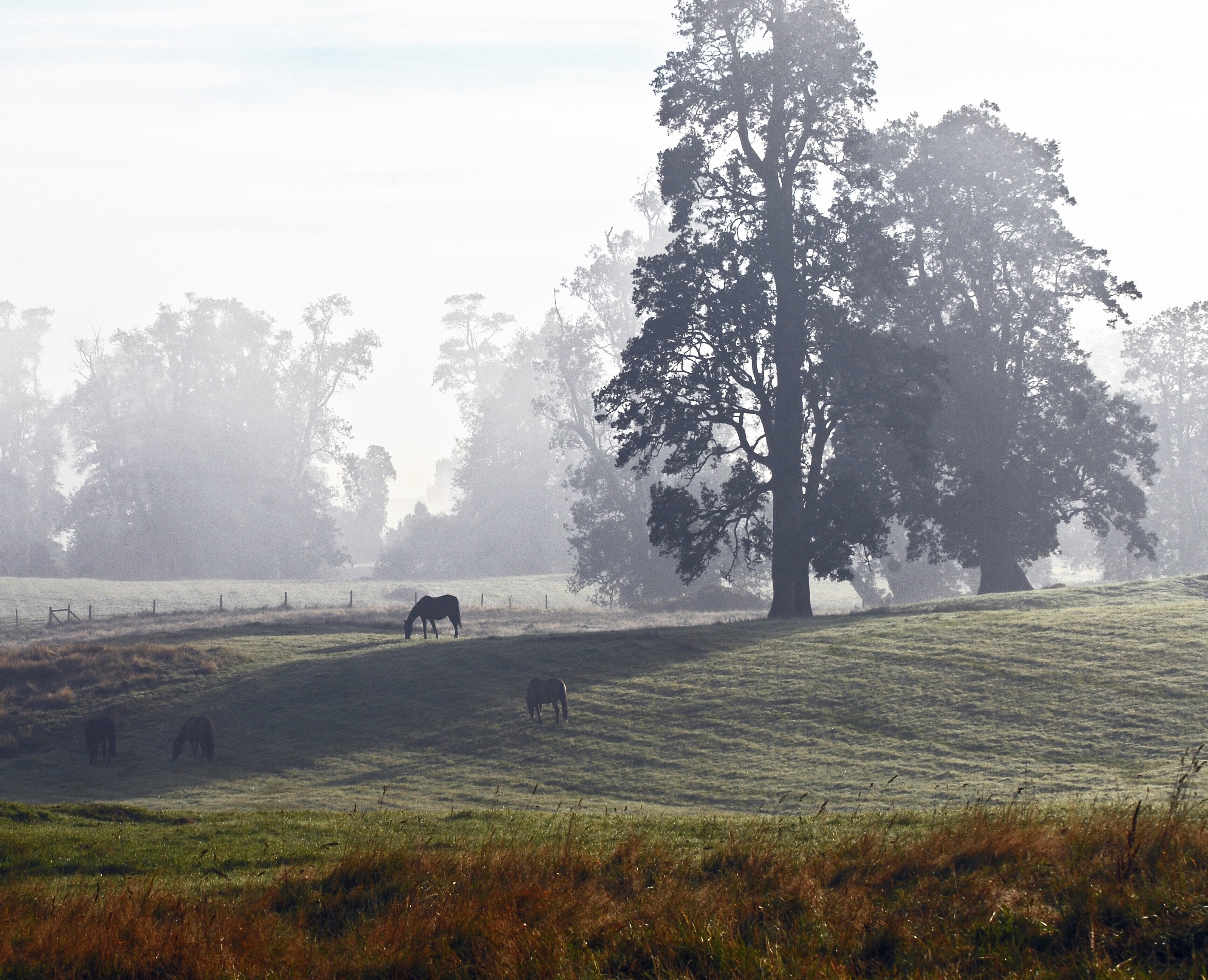 Идентификация бренда молочной компании — Брендинг на Dprofile